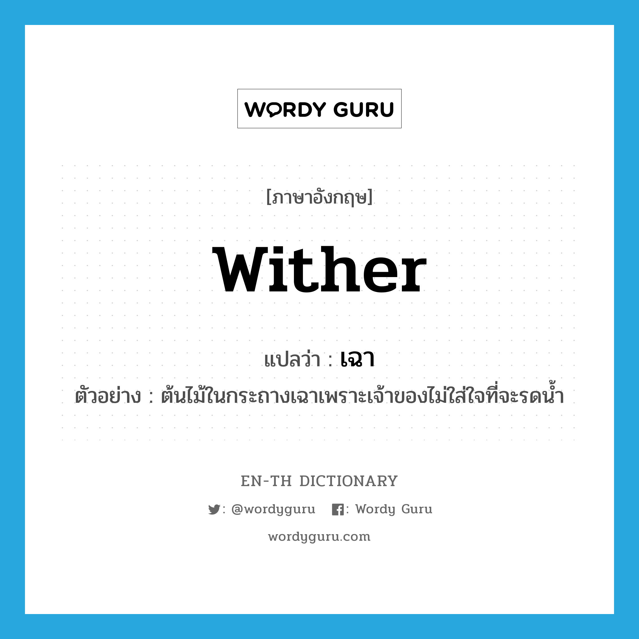 wither แปลว่า?, คำศัพท์ภาษาอังกฤษ wither แปลว่า เฉา ประเภท V ตัวอย่าง ต้นไม้ในกระถางเฉาเพราะเจ้าของไม่ใส่ใจที่จะรดน้ำ หมวด V