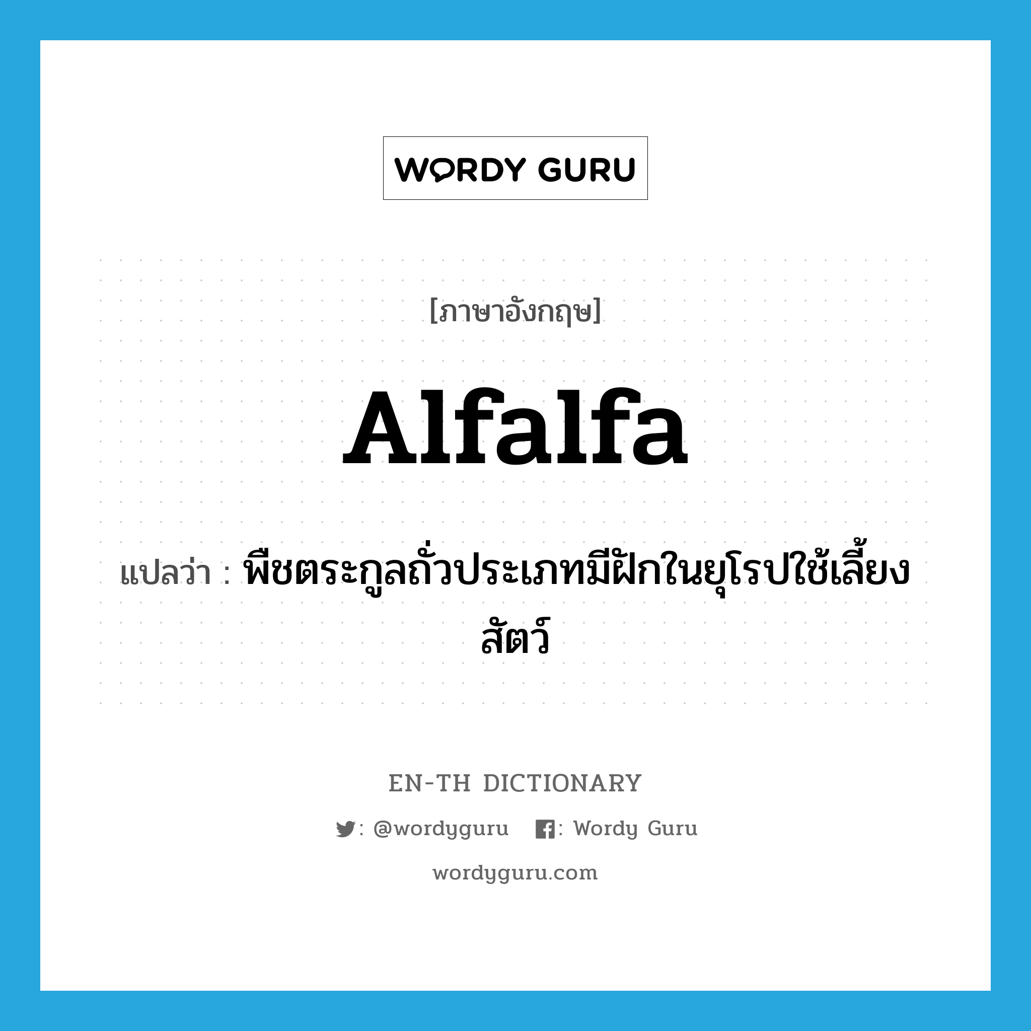 alfalfa แปลว่า?, คำศัพท์ภาษาอังกฤษ alfalfa แปลว่า พืชตระกูลถั่วประเภทมีฝักในยุโรปใช้เลี้ยงสัตว์ ประเภท N หมวด N