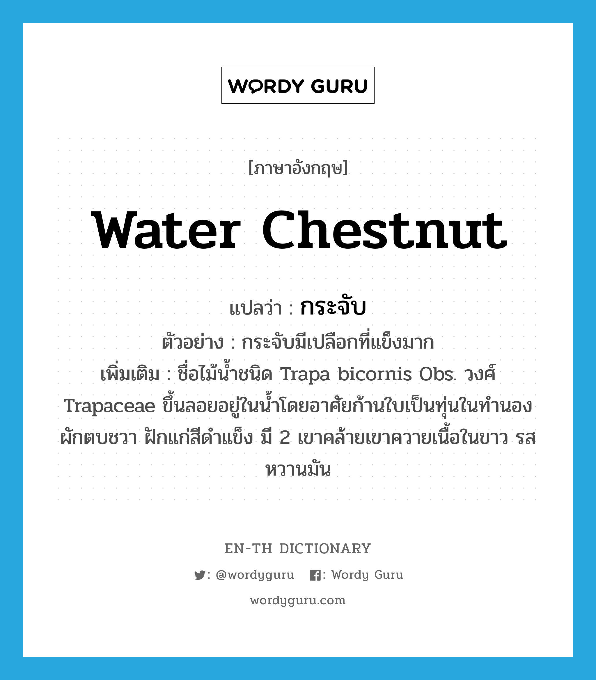 water chestnut แปลว่า?, คำศัพท์ภาษาอังกฤษ water chestnut แปลว่า กระจับ ประเภท N ตัวอย่าง กระจับมีเปลือกที่แข็งมาก เพิ่มเติม ชื่อไม้น้ำชนิด Trapa bicornis Obs. วงศ์ Trapaceae ขึ้นลอยอยู่ในน้ำโดยอาศัยก้านใบเป็นทุ่นในทำนองผักตบชวา ฝักแก่สีดำแข็ง มี 2 เขาคล้ายเขาควายเนื้อในขาว รสหวานมัน หมวด N