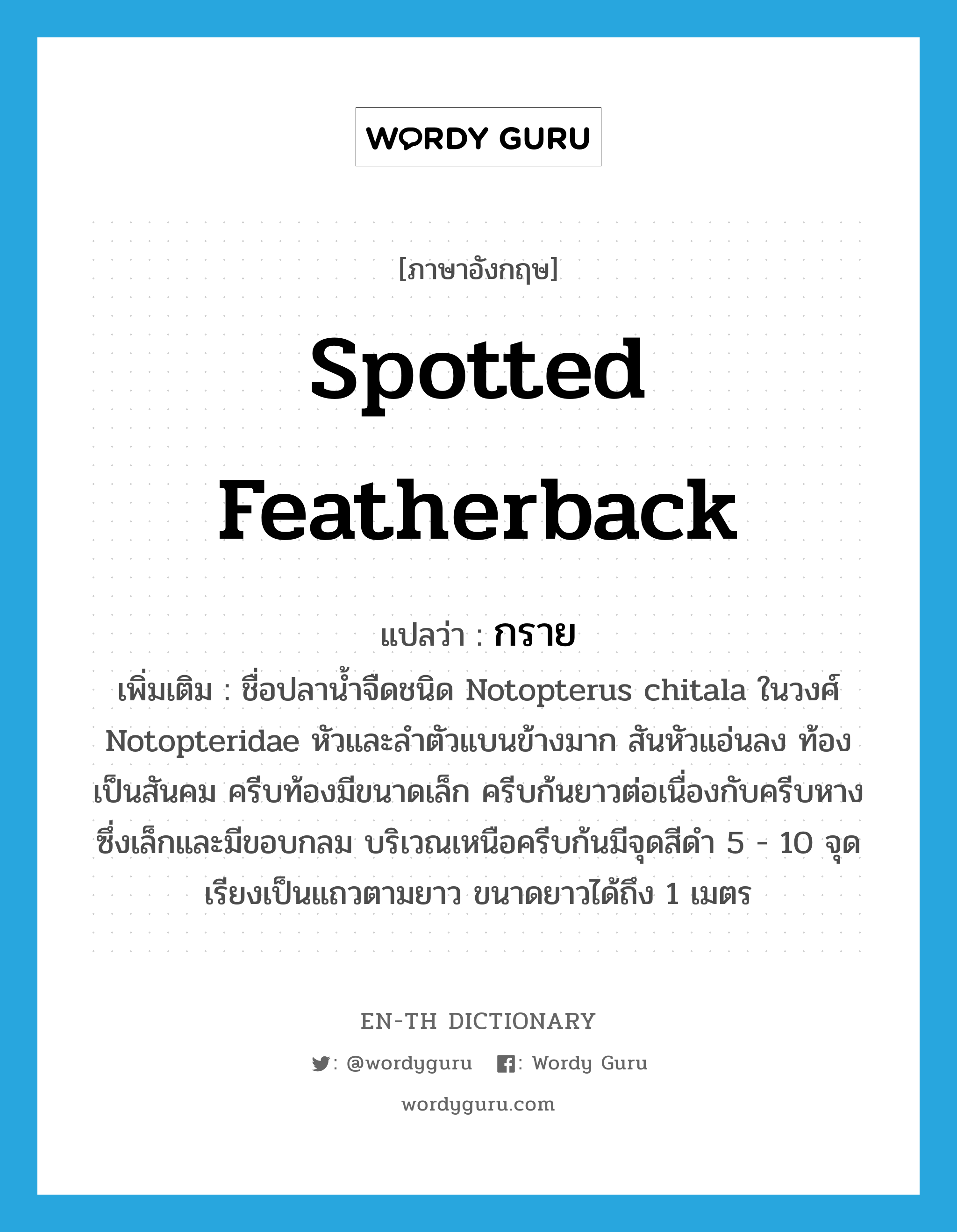 Spotted featherback แปลว่า?, คำศัพท์ภาษาอังกฤษ Spotted featherback แปลว่า กราย ประเภท N เพิ่มเติม ชื่อปลาน้ำจืดชนิด Notopterus chitala ในวงศ์ Notopteridae หัวและลำตัวแบนข้างมาก สันหัวแอ่นลง ท้องเป็นสันคม ครีบท้องมีขนาดเล็ก ครีบก้นยาวต่อเนื่องกับครีบหางซึ่งเล็กและมีขอบกลม บริเวณเหนือครีบก้นมีจุดสีดำ 5 - 10 จุดเรียงเป็นแถวตามยาว ขนาดยาวได้ถึง 1 เมตร หมวด N