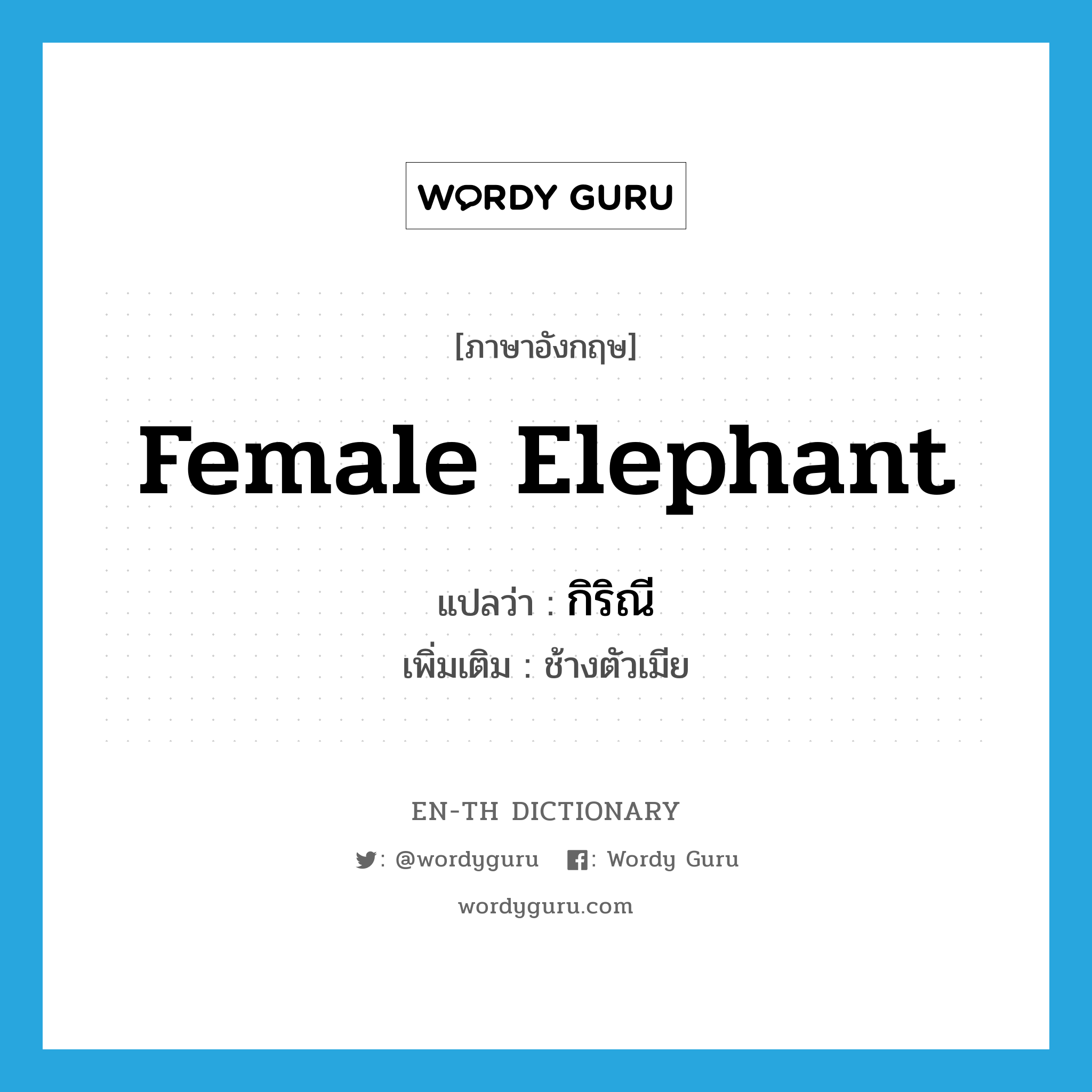 female elephant แปลว่า?, คำศัพท์ภาษาอังกฤษ female elephant แปลว่า กิริณี ประเภท N เพิ่มเติม ช้างตัวเมีย หมวด N