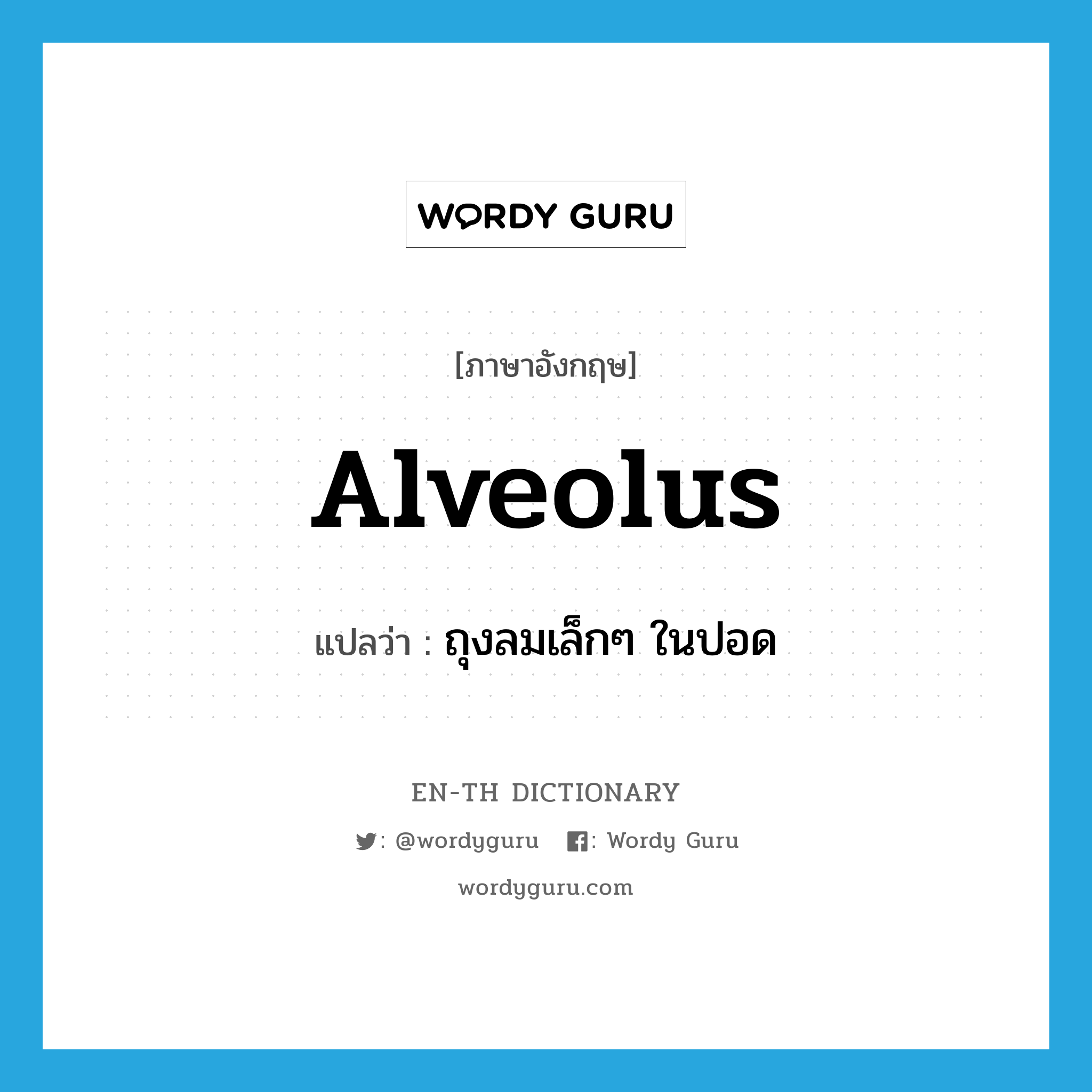 alveolus แปลว่า?, คำศัพท์ภาษาอังกฤษ alveolus แปลว่า ถุงลมเล็กๆ ในปอด ประเภท N หมวด N