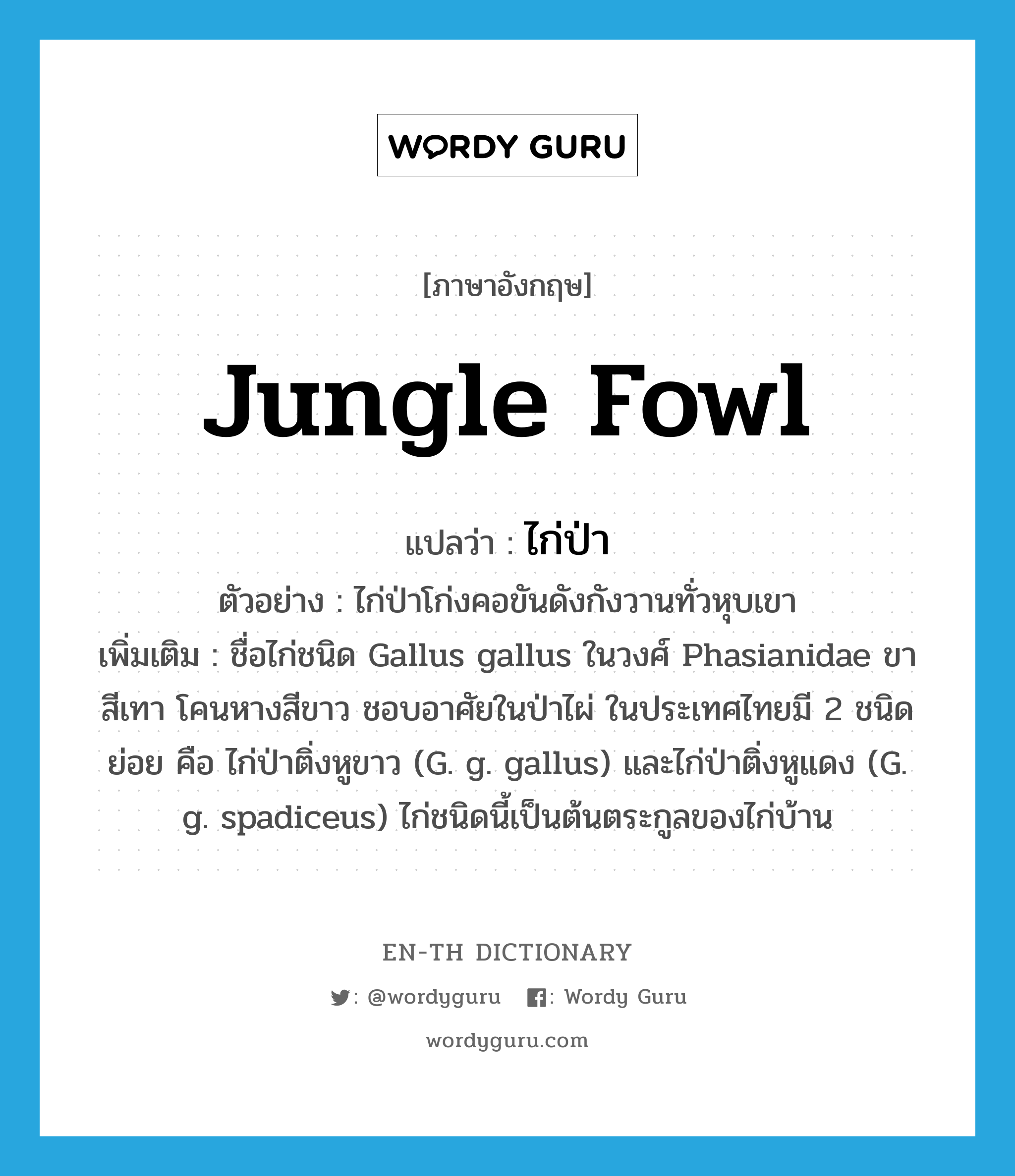 jungle fowl แปลว่า?, คำศัพท์ภาษาอังกฤษ jungle fowl แปลว่า ไก่ป่า ประเภท N ตัวอย่าง ไก่ป่าโก่งคอขันดังกังวานทั่วหุบเขา เพิ่มเติม ชื่อไก่ชนิด Gallus gallus ในวงศ์ Phasianidae ขาสีเทา โคนหางสีขาว ชอบอาศัยในป่าไผ่ ในประเทศไทยมี 2 ชนิดย่อย คือ ไก่ป่าติ่งหูขาว (G. g. gallus) และไก่ป่าติ่งหูแดง (G. g. spadiceus) ไก่ชนิดนี้เป็นต้นตระกูลของไก่บ้าน หมวด N