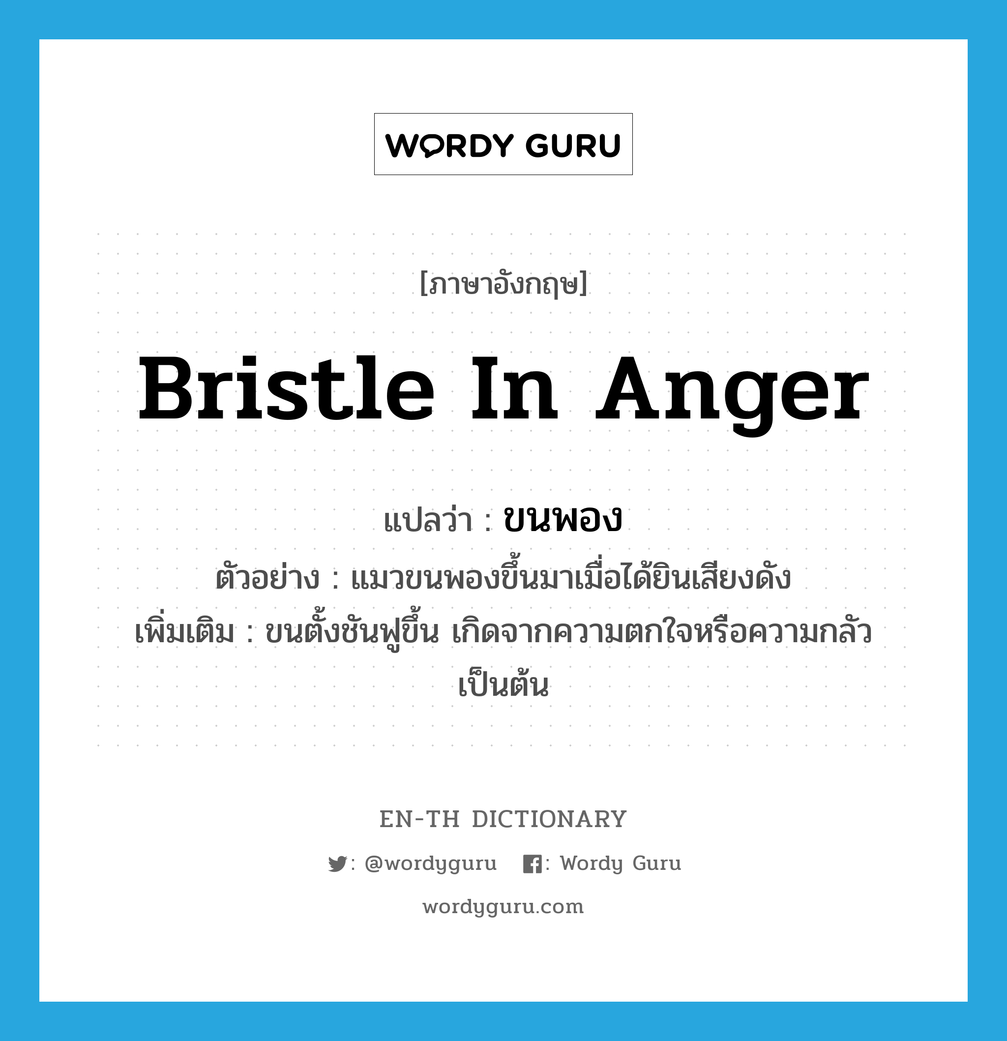 bristle in anger แปลว่า?, คำศัพท์ภาษาอังกฤษ bristle in anger แปลว่า ขนพอง ประเภท V ตัวอย่าง แมวขนพองขึ้นมาเมื่อได้ยินเสียงดัง เพิ่มเติม ขนตั้งชันฟูขึ้น เกิดจากความตกใจหรือความกลัวเป็นต้น หมวด V