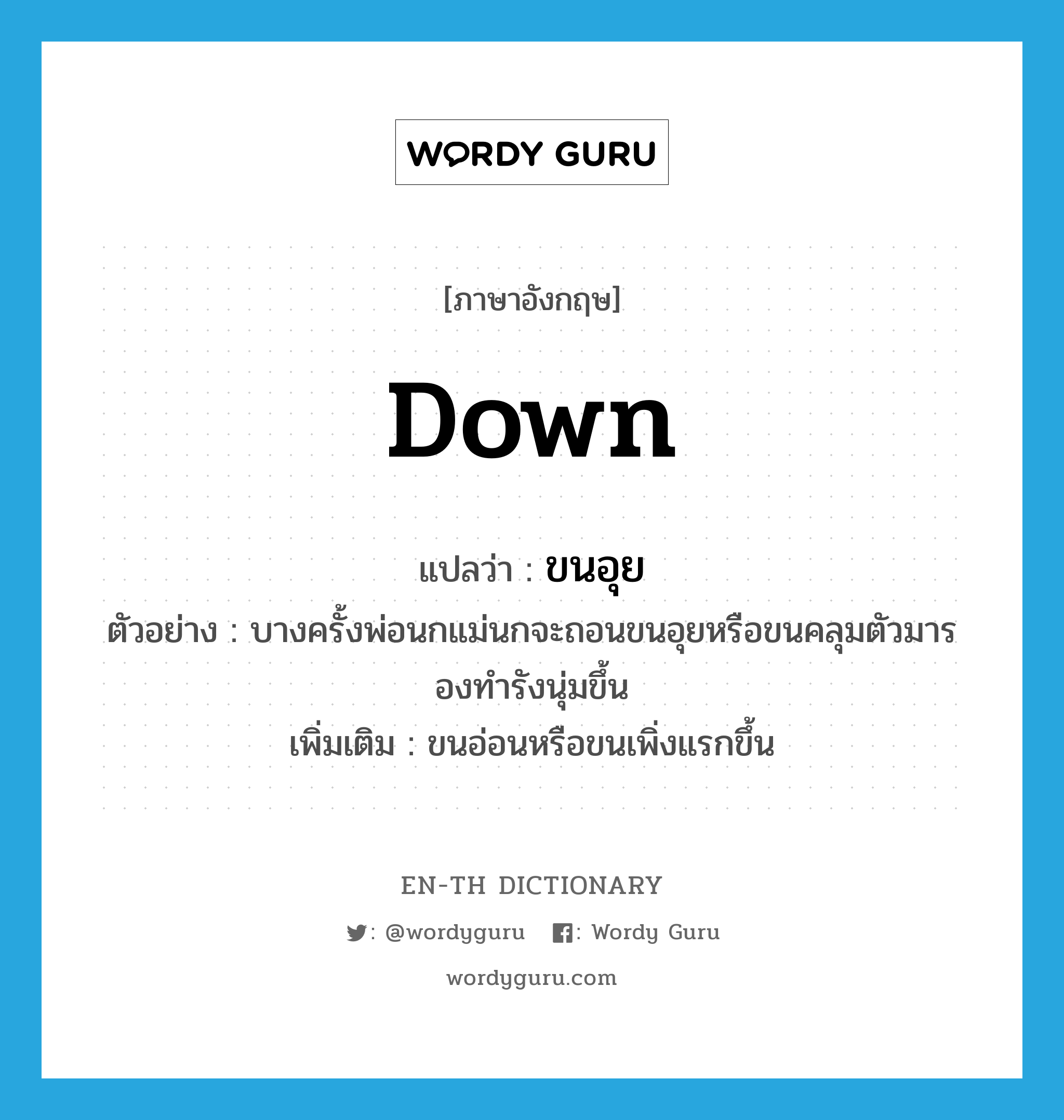 down แปลว่า?, คำศัพท์ภาษาอังกฤษ down แปลว่า ขนอุย ประเภท N ตัวอย่าง บางครั้งพ่อนกแม่นกจะถอนขนอุยหรือขนคลุมตัวมารองทำรังนุ่มขึ้น เพิ่มเติม ขนอ่อนหรือขนเพิ่งแรกขึ้น หมวด N