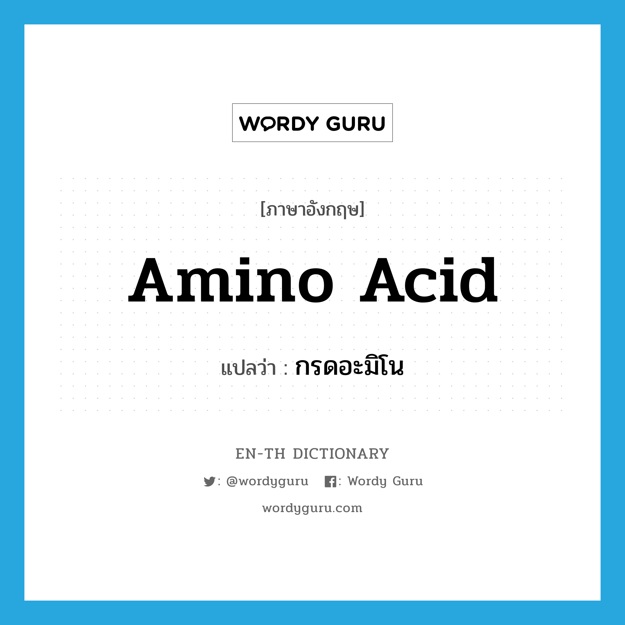 amino acid แปลว่า?, คำศัพท์ภาษาอังกฤษ amino acid แปลว่า กรดอะมิโน ประเภท N หมวด N