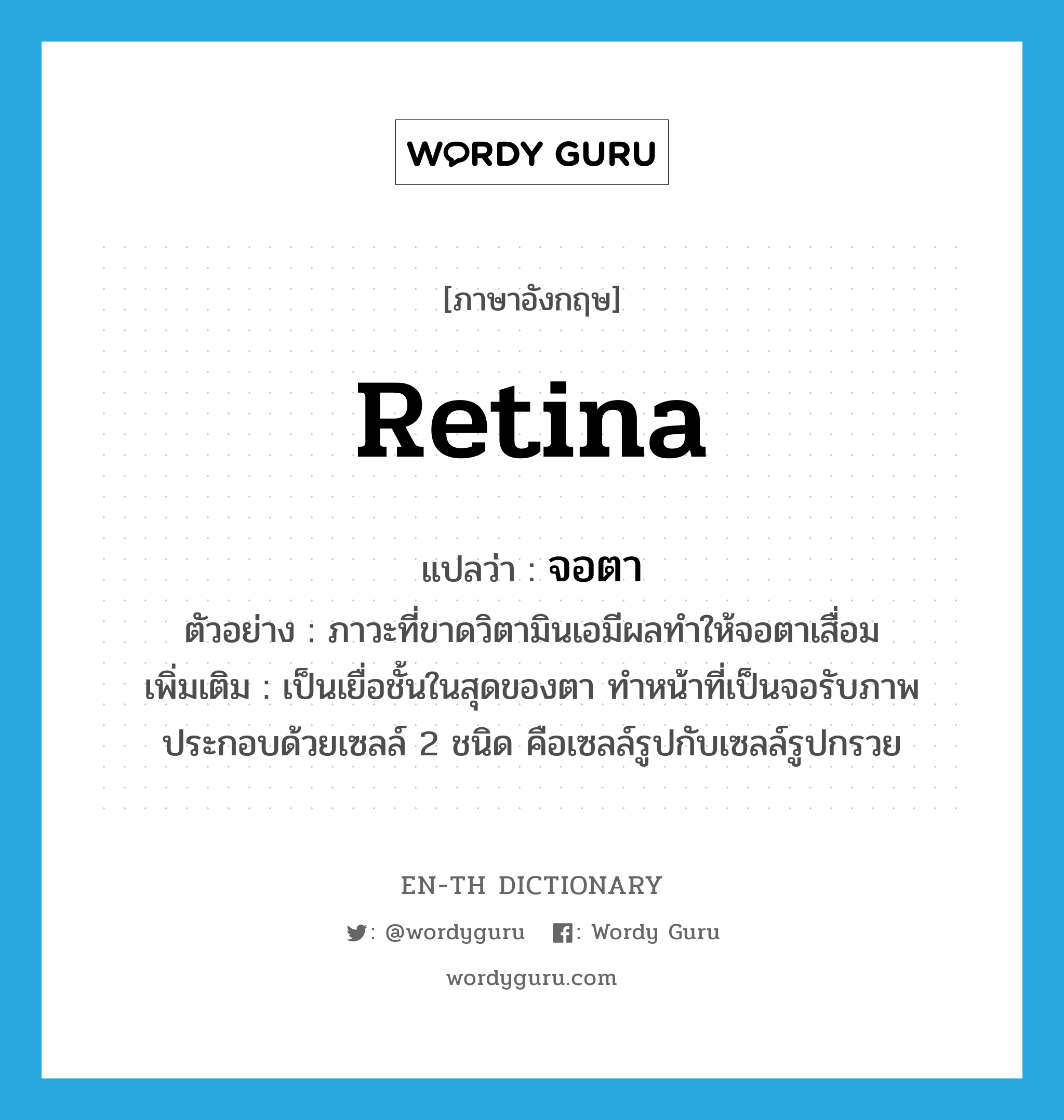 retina แปลว่า?, คำศัพท์ภาษาอังกฤษ retina แปลว่า จอตา ประเภท N ตัวอย่าง ภาวะที่ขาดวิตามินเอมีผลทำให้จอตาเสื่อม เพิ่มเติม เป็นเยื่อชั้นในสุดของตา ทำหน้าที่เป็นจอรับภาพ ประกอบด้วยเซลล์ 2 ชนิด คือเซลล์รูปกับเซลล์รูปกรวย หมวด N