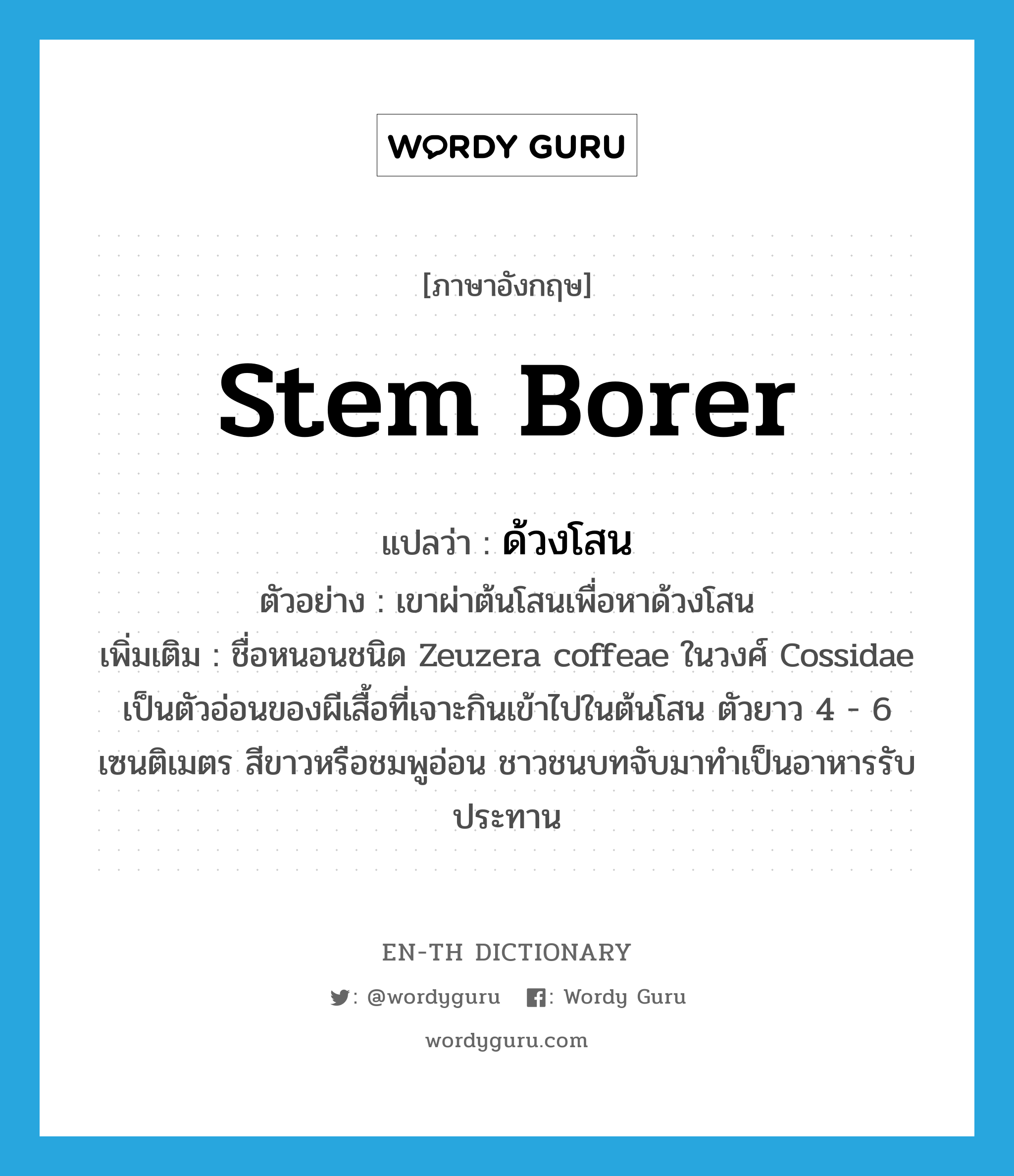 stem borer แปลว่า?, คำศัพท์ภาษาอังกฤษ stem borer แปลว่า ด้วงโสน ประเภท N ตัวอย่าง เขาผ่าต้นโสนเพื่อหาด้วงโสน เพิ่มเติม ชื่อหนอนชนิด Zeuzera coffeae ในวงศ์ Cossidae เป็นตัวอ่อนของผีเสื้อที่เจาะกินเข้าไปในต้นโสน ตัวยาว 4 - 6 เซนติเมตร สีขาวหรือชมพูอ่อน ชาวชนบทจับมาทำเป็นอาหารรับประทาน หมวด N