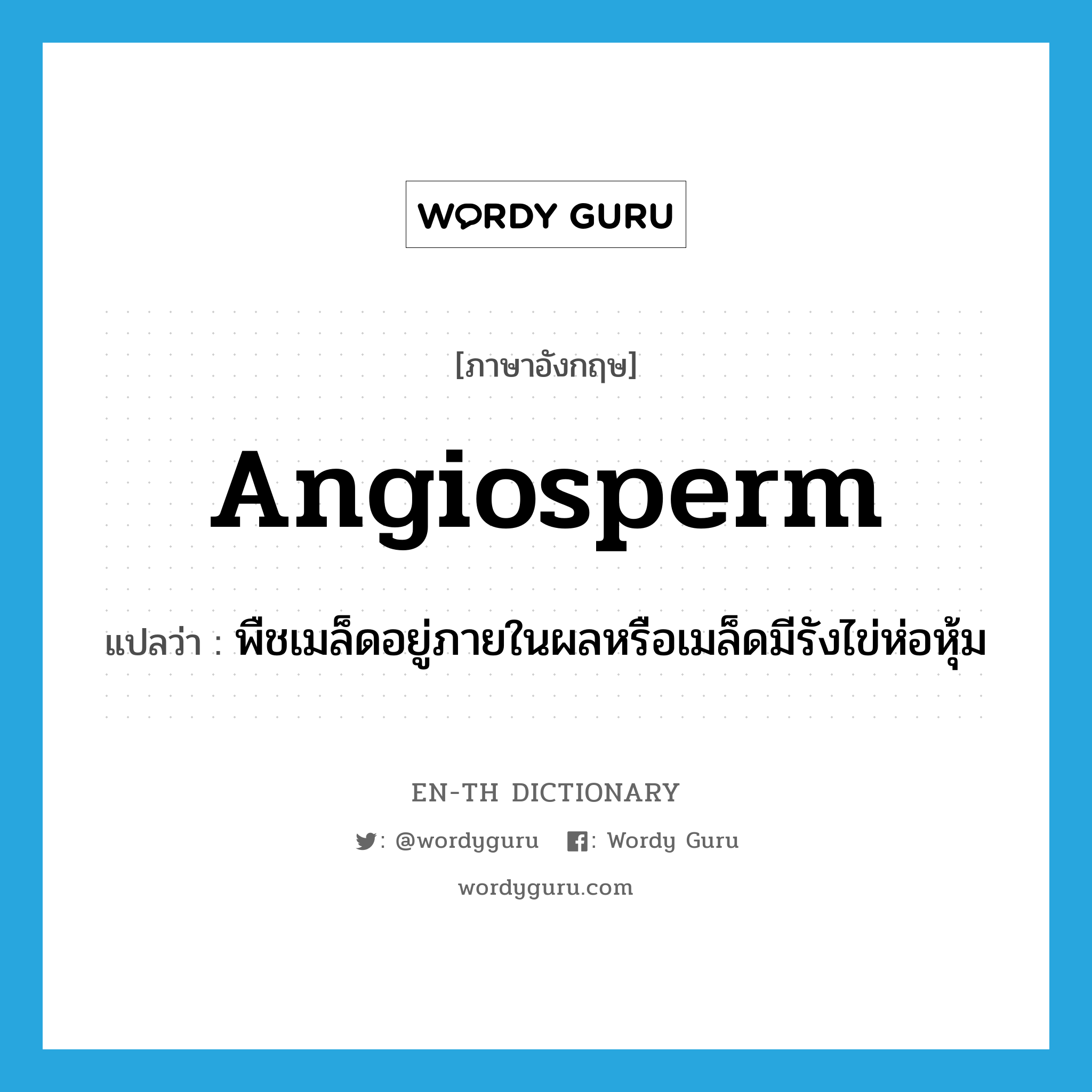 angiosperm แปลว่า?, คำศัพท์ภาษาอังกฤษ angiosperm แปลว่า พืชเมล็ดอยู่ภายในผลหรือเมล็ดมีรังไข่ห่อหุ้ม ประเภท N หมวด N