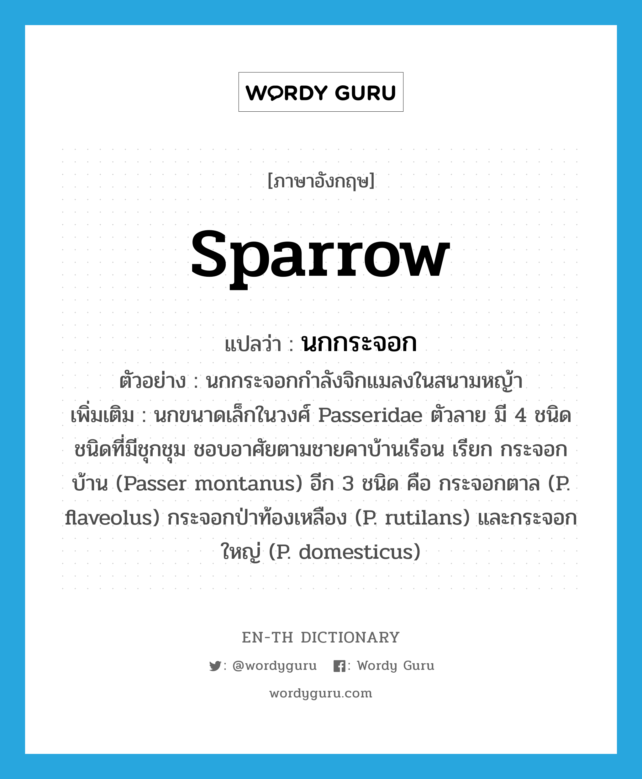 sparrow แปลว่า?, คำศัพท์ภาษาอังกฤษ sparrow แปลว่า นกกระจอก ประเภท N ตัวอย่าง นกกระจอกกำลังจิกแมลงในสนามหญ้า เพิ่มเติม นกขนาดเล็กในวงศ์ Passeridae ตัวลาย มี 4 ชนิด ชนิดที่มีชุกชุม ชอบอาศัยตามชายคาบ้านเรือน เรียก กระจอกบ้าน (Passer montanus) อีก 3 ชนิด คือ กระจอกตาล (P. flaveolus) กระจอกป่าท้องเหลือง (P. rutilans) และกระจอกใหญ่ (P. domesticus) หมวด N