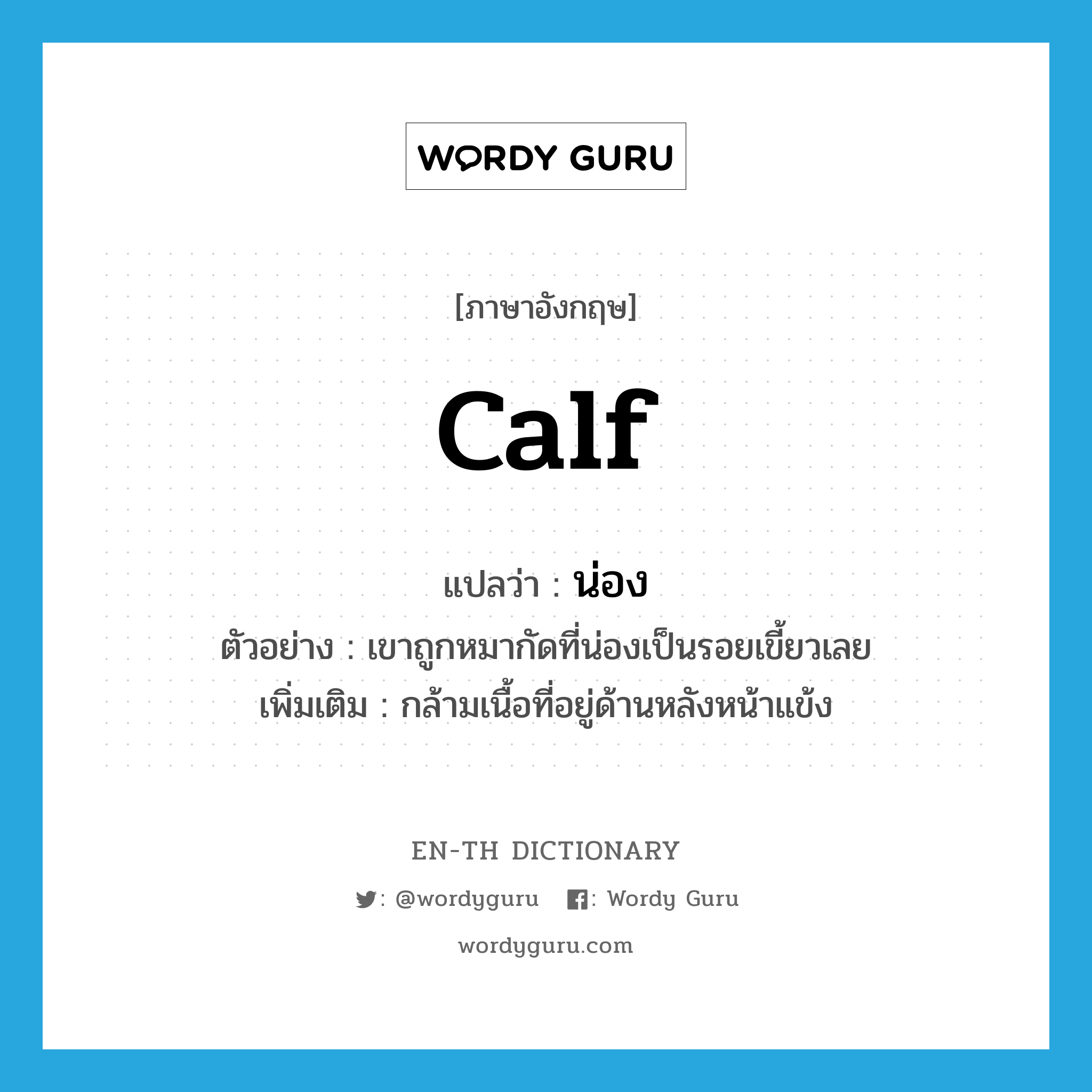 calf แปลว่า?, คำศัพท์ภาษาอังกฤษ calf แปลว่า น่อง ประเภท N ตัวอย่าง เขาถูกหมากัดที่น่องเป็นรอยเขี้ยวเลย เพิ่มเติม กล้ามเนื้อที่อยู่ด้านหลังหน้าแข้ง หมวด N