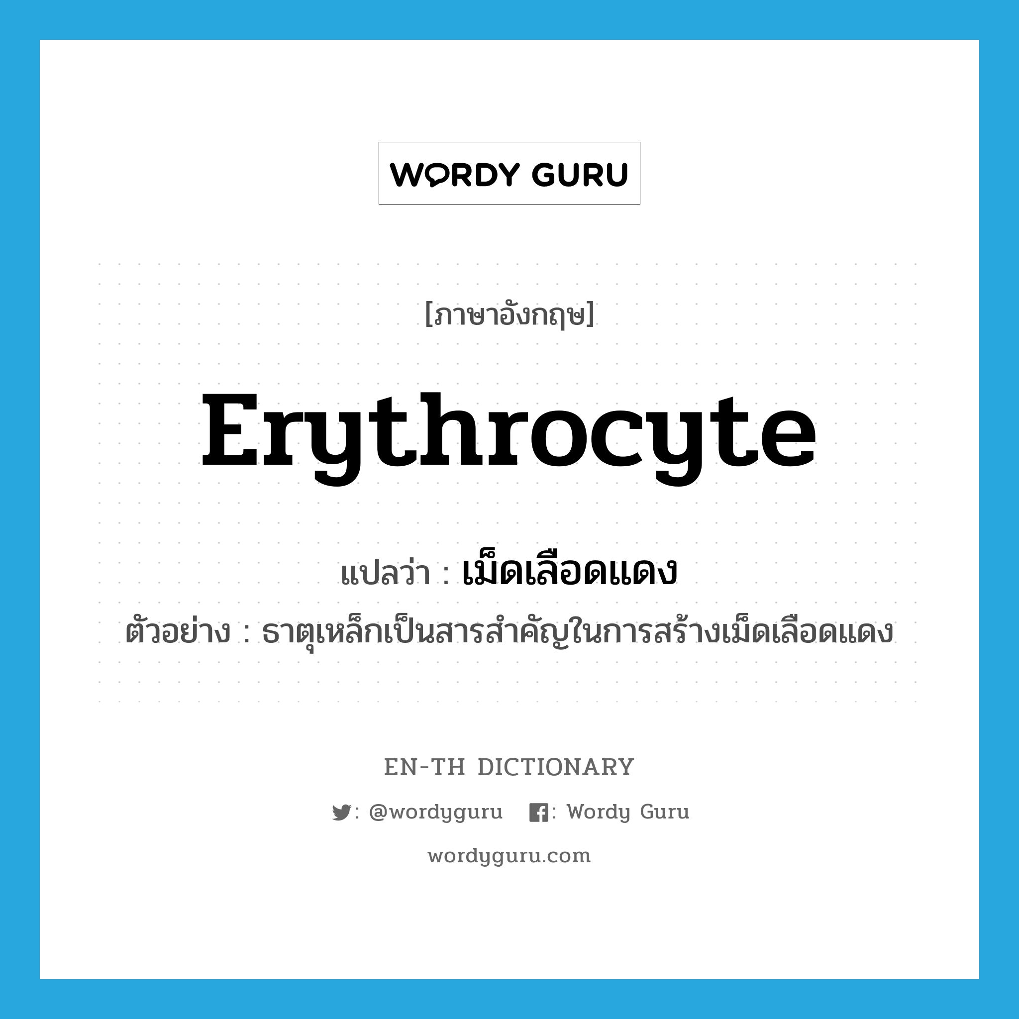 erythrocyte แปลว่า?, คำศัพท์ภาษาอังกฤษ erythrocyte แปลว่า เม็ดเลือดแดง ประเภท N ตัวอย่าง ธาตุเหล็กเป็นสารสำคัญในการสร้างเม็ดเลือดแดง หมวด N