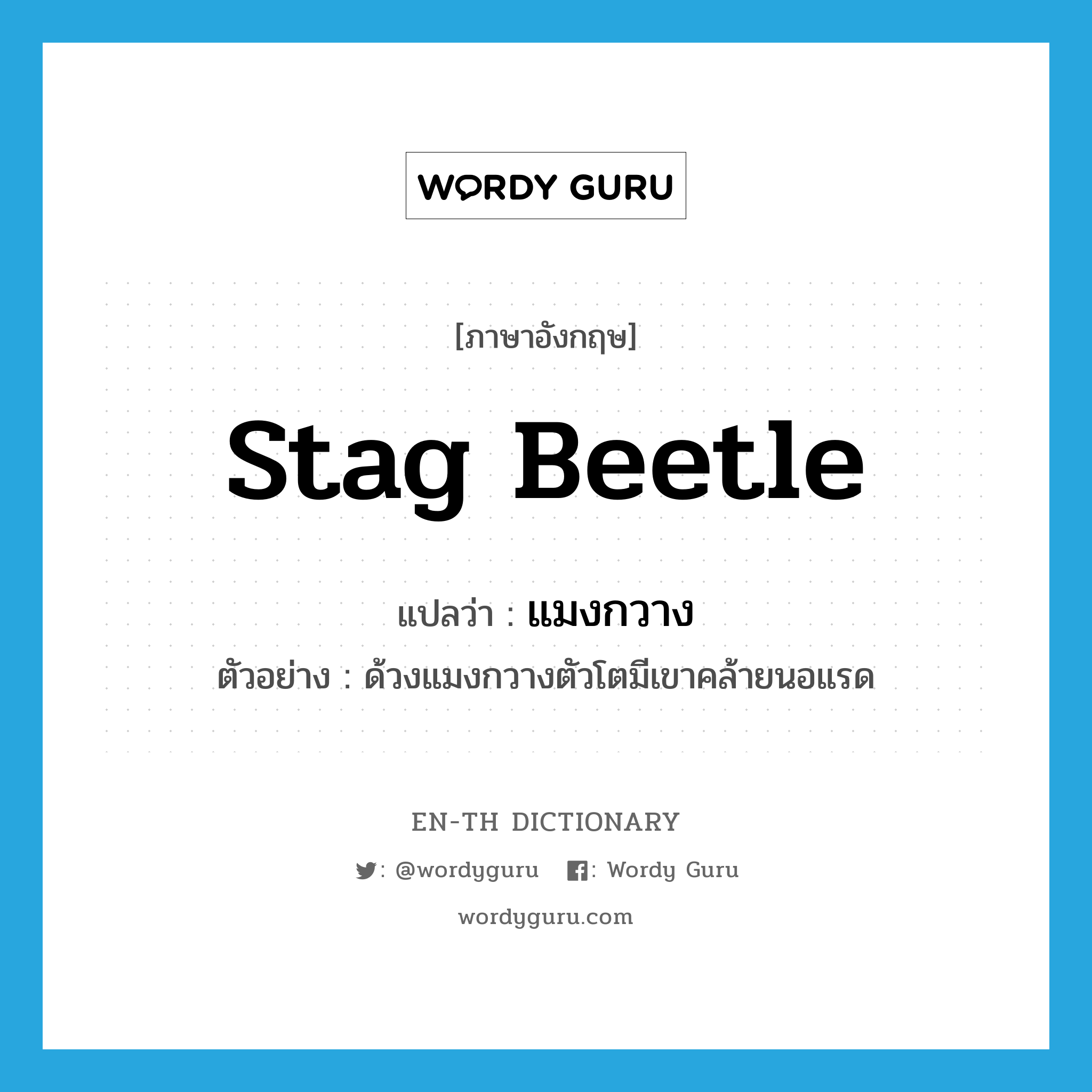 stag beetle แปลว่า?, คำศัพท์ภาษาอังกฤษ stag beetle แปลว่า แมงกวาง ประเภท N ตัวอย่าง ด้วงแมงกวางตัวโตมีเขาคล้ายนอแรด หมวด N