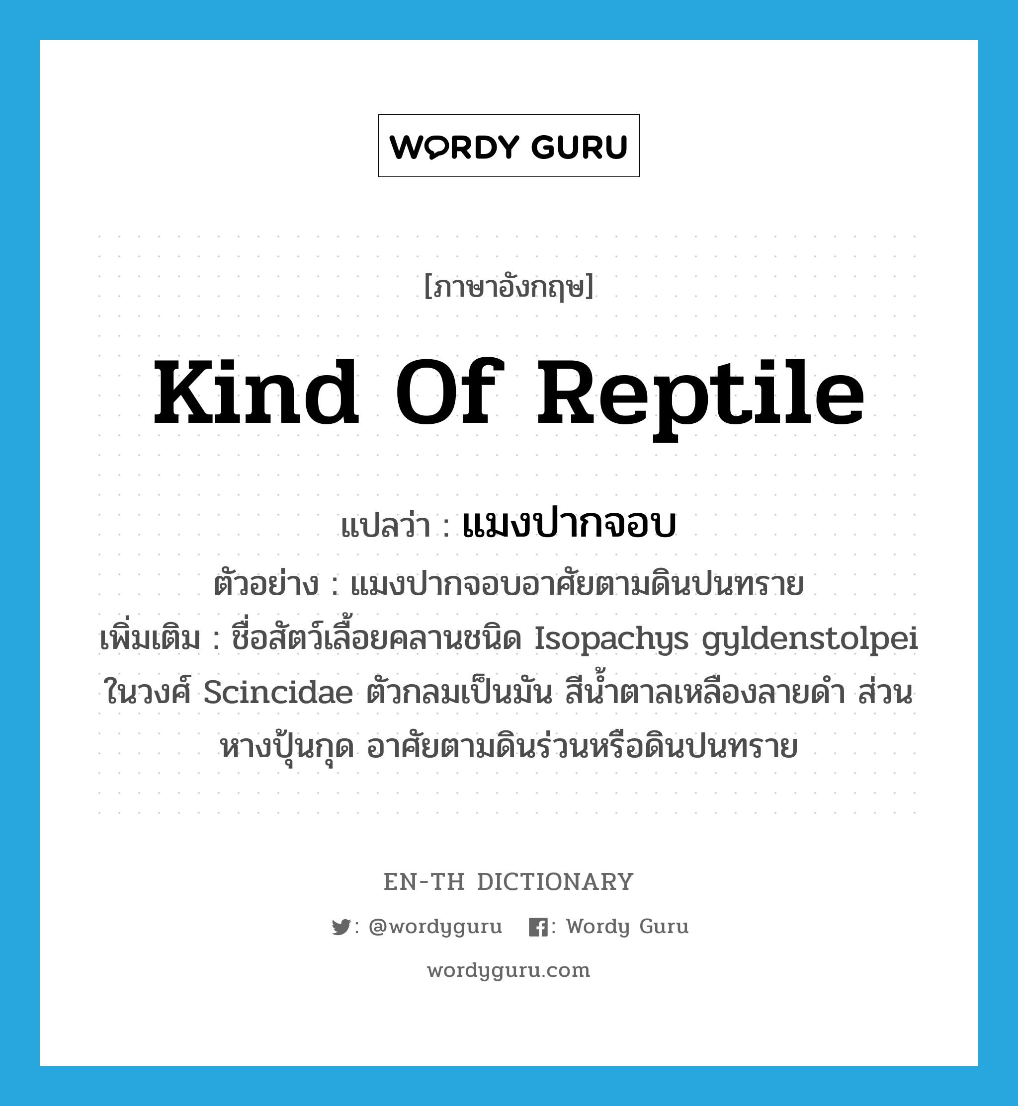 kind of reptile แปลว่า?, คำศัพท์ภาษาอังกฤษ kind of reptile แปลว่า แมงปากจอบ ประเภท N ตัวอย่าง แมงปากจอบอาศัยตามดินปนทราย เพิ่มเติม ชื่อสัตว์เลื้อยคลานชนิด Isopachys gyldenstolpei ในวงศ์ Scincidae ตัวกลมเป็นมัน สีน้ำตาลเหลืองลายดำ ส่วนหางปุ้นกุด อาศัยตามดินร่วนหรือดินปนทราย หมวด N