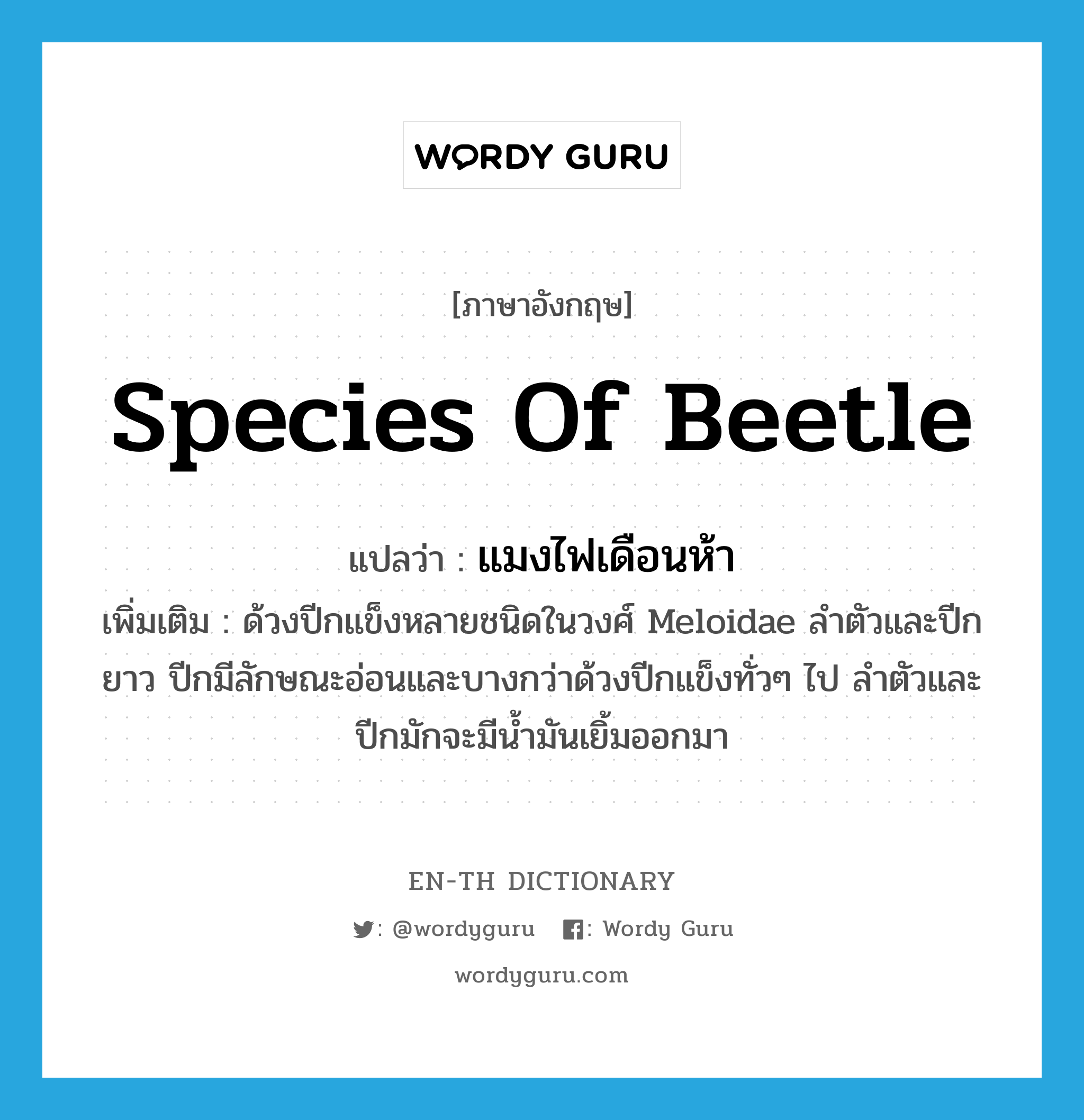 species of beetle แปลว่า?, คำศัพท์ภาษาอังกฤษ species of beetle แปลว่า แมงไฟเดือนห้า ประเภท N เพิ่มเติม ด้วงปีกแข็งหลายชนิดในวงศ์ Meloidae ลำตัวและปีกยาว ปีกมีลักษณะอ่อนและบางกว่าด้วงปีกแข็งทั่วๆ ไป ลำตัวและปีกมักจะมีน้ำมันเยิ้มออกมา หมวด N