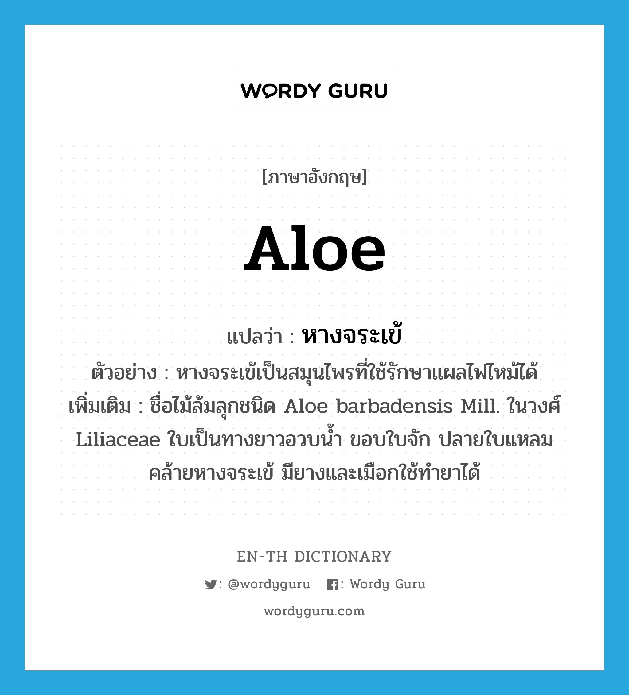 aloe แปลว่า?, คำศัพท์ภาษาอังกฤษ aloe แปลว่า หางจระเข้ ประเภท N ตัวอย่าง หางจระเข้เป็นสมุนไพรที่ใช้รักษาแผลไฟไหม้ได้ เพิ่มเติม ชื่อไม้ล้มลุกชนิด Aloe barbadensis Mill. ในวงศ์ Liliaceae ใบเป็นทางยาวอวบน้ำ ขอบใบจัก ปลายใบแหลมคล้ายหางจระเข้ มียางและเมือกใช้ทำยาได้ หมวด N