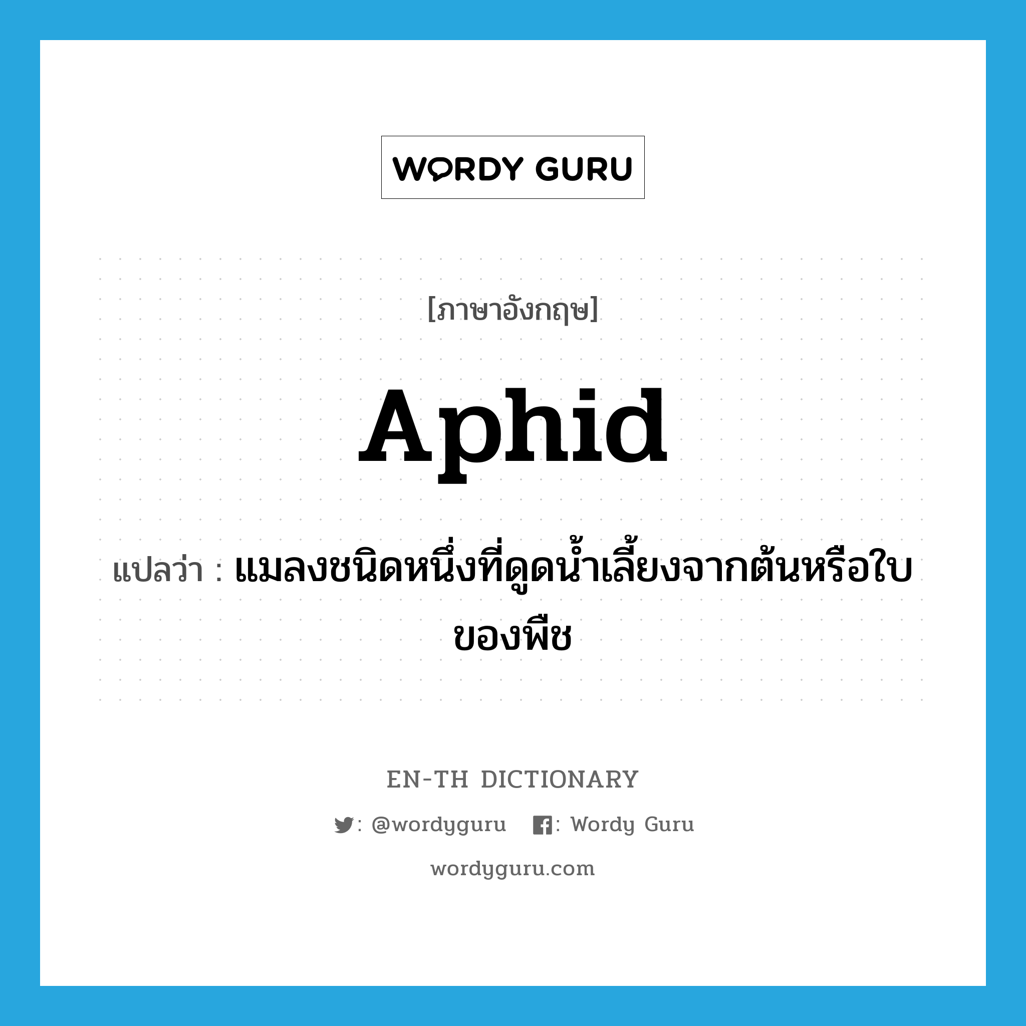 aphid แปลว่า?, คำศัพท์ภาษาอังกฤษ aphid แปลว่า แมลงชนิดหนึ่งที่ดูดน้ำเลี้ยงจากต้นหรือใบของพืช ประเภท N หมวด N