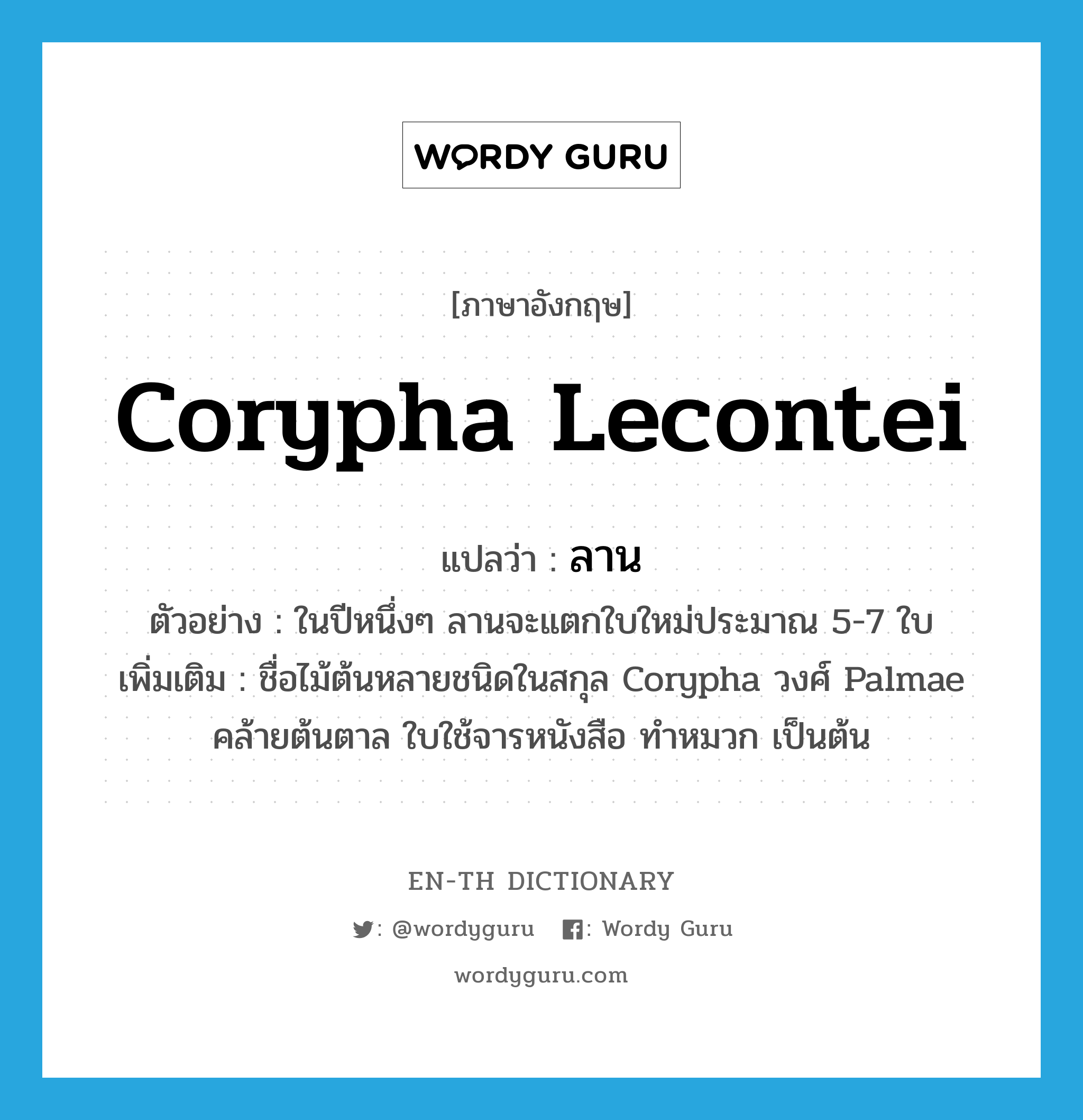 Corypha lecontei แปลว่า?, คำศัพท์ภาษาอังกฤษ Corypha lecontei แปลว่า ลาน ประเภท N ตัวอย่าง ในปีหนึ่งๆ ลานจะแตกใบใหม่ประมาณ 5-7 ใบ เพิ่มเติม ชื่อไม้ต้นหลายชนิดในสกุล Corypha วงศ์ Palmae คล้ายต้นตาล ใบใช้จารหนังสือ ทำหมวก เป็นต้น หมวด N