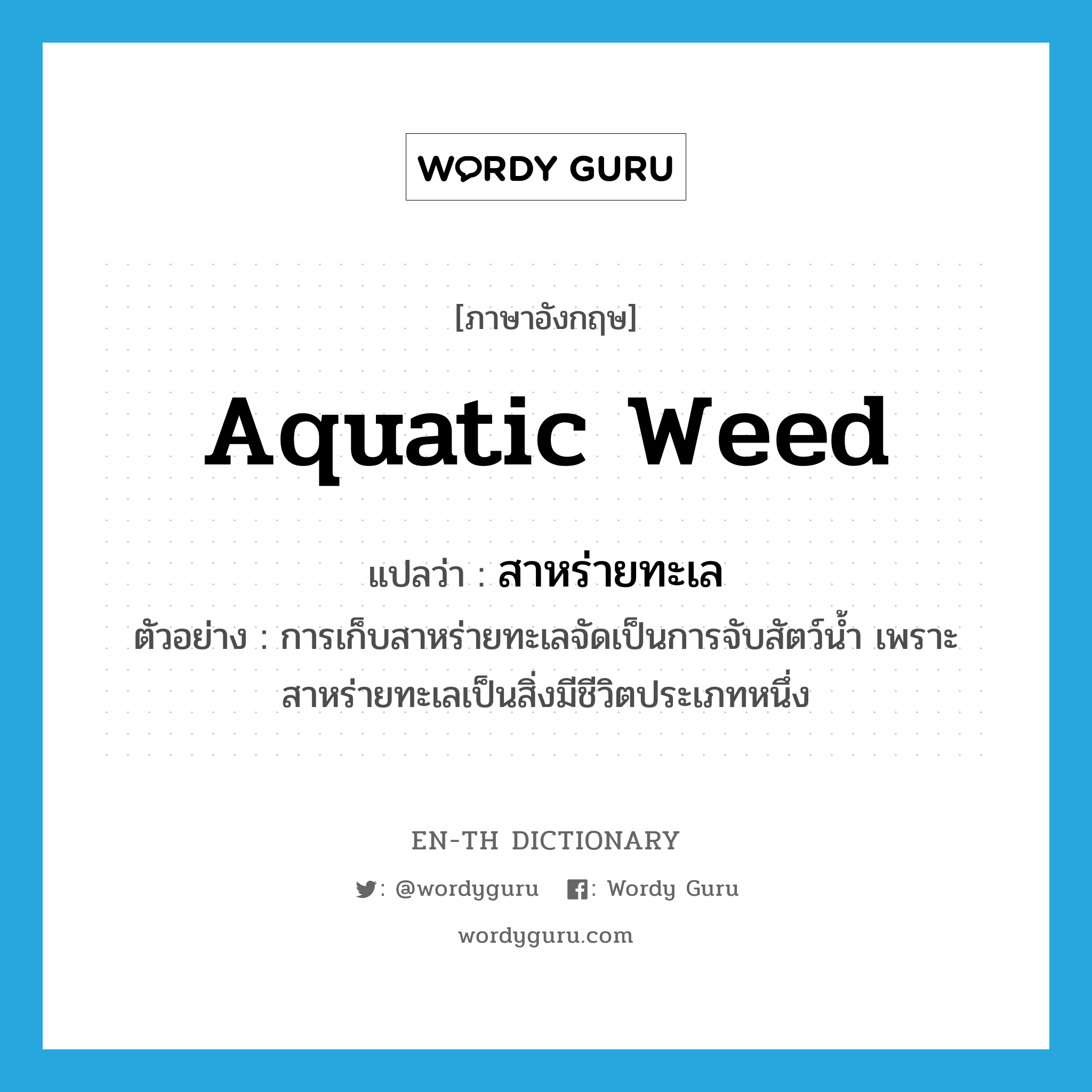 aquatic weed แปลว่า?, คำศัพท์ภาษาอังกฤษ aquatic weed แปลว่า สาหร่ายทะเล ประเภท N ตัวอย่าง การเก็บสาหร่ายทะเลจัดเป็นการจับสัตว์น้ำ เพราะสาหร่ายทะเลเป็นสิ่งมีชีวิตประเภทหนึ่ง หมวด N