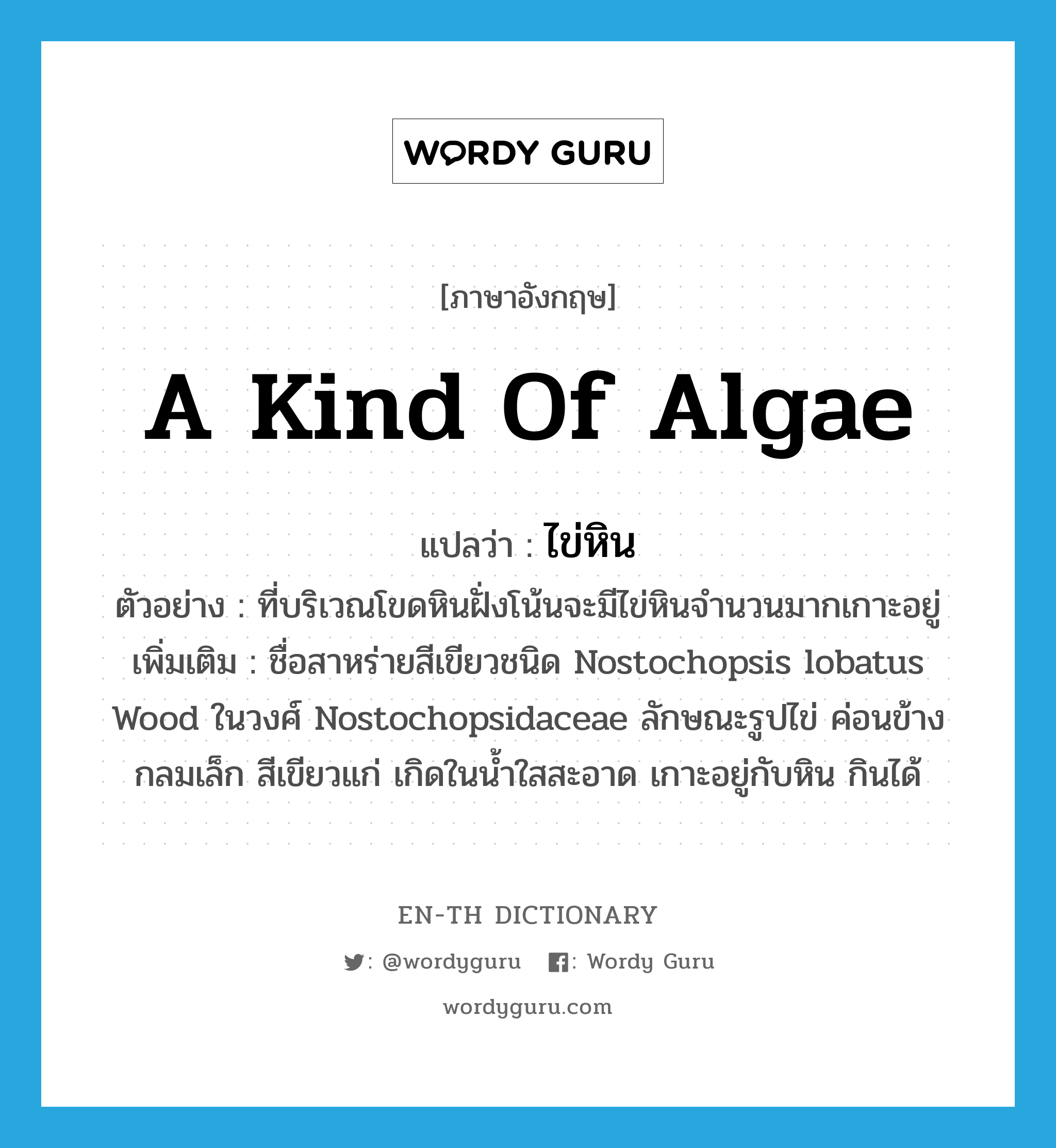 a kind of algae แปลว่า?, คำศัพท์ภาษาอังกฤษ a kind of algae แปลว่า ไข่หิน ประเภท N ตัวอย่าง ที่บริเวณโขดหินฝั่งโน้นจะมีไข่หินจำนวนมากเกาะอยู่ เพิ่มเติม ชื่อสาหร่ายสีเขียวชนิด Nostochopsis lobatus Wood ในวงศ์ Nostochopsidaceae ลักษณะรูปไข่ ค่อนข้างกลมเล็ก สีเขียวแก่ เกิดในน้ำใสสะอาด เกาะอยู่กับหิน กินได้ หมวด N