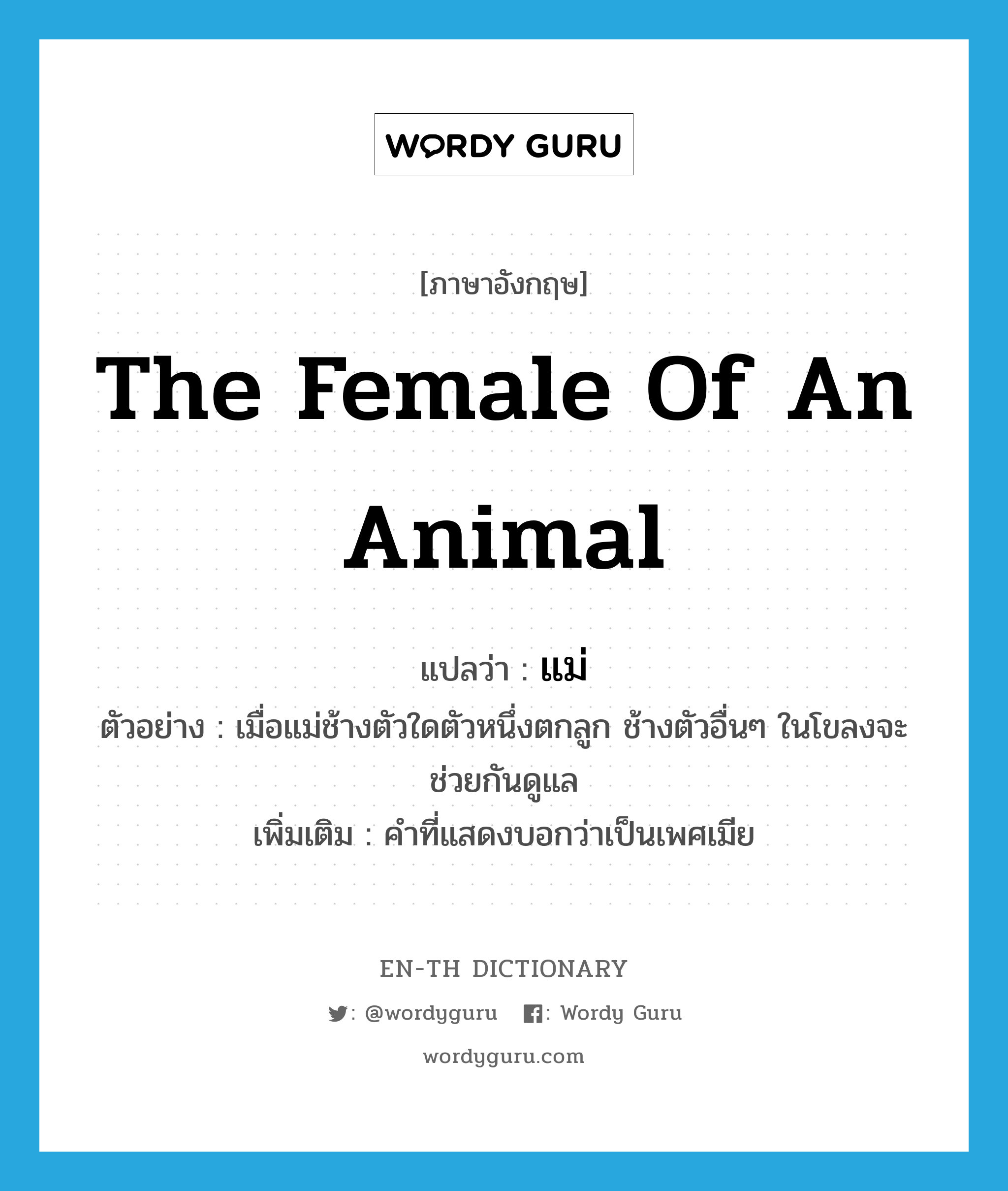 the female of an animal แปลว่า?, คำศัพท์ภาษาอังกฤษ the female of an animal แปลว่า แม่ ประเภท N ตัวอย่าง เมื่อแม่ช้างตัวใดตัวหนึ่งตกลูก ช้างตัวอื่นๆ ในโขลงจะช่วยกันดูแล เพิ่มเติม คำที่แสดงบอกว่าเป็นเพศเมีย หมวด N