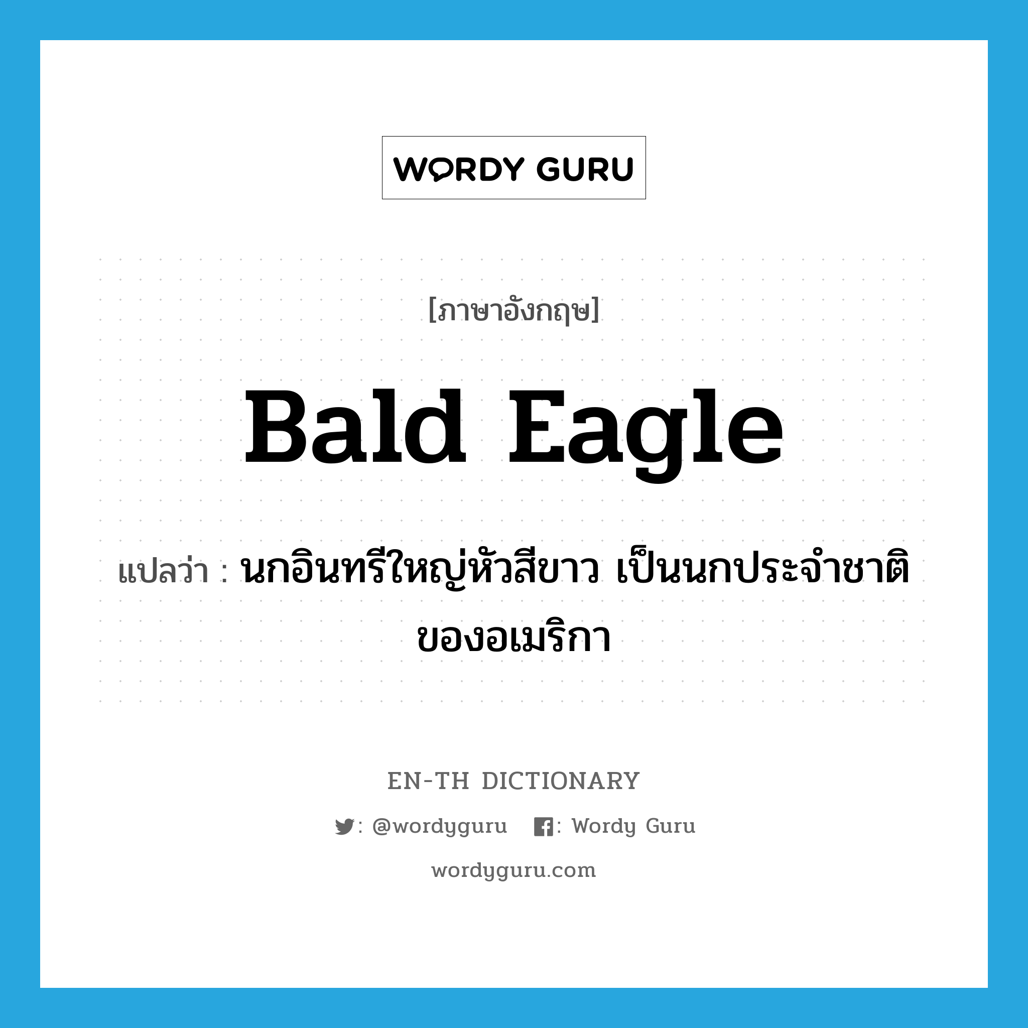 bald eagle แปลว่า?, คำศัพท์ภาษาอังกฤษ bald eagle แปลว่า นกอินทรีใหญ่หัวสีขาว เป็นนกประจำชาติของอเมริกา ประเภท N หมวด N