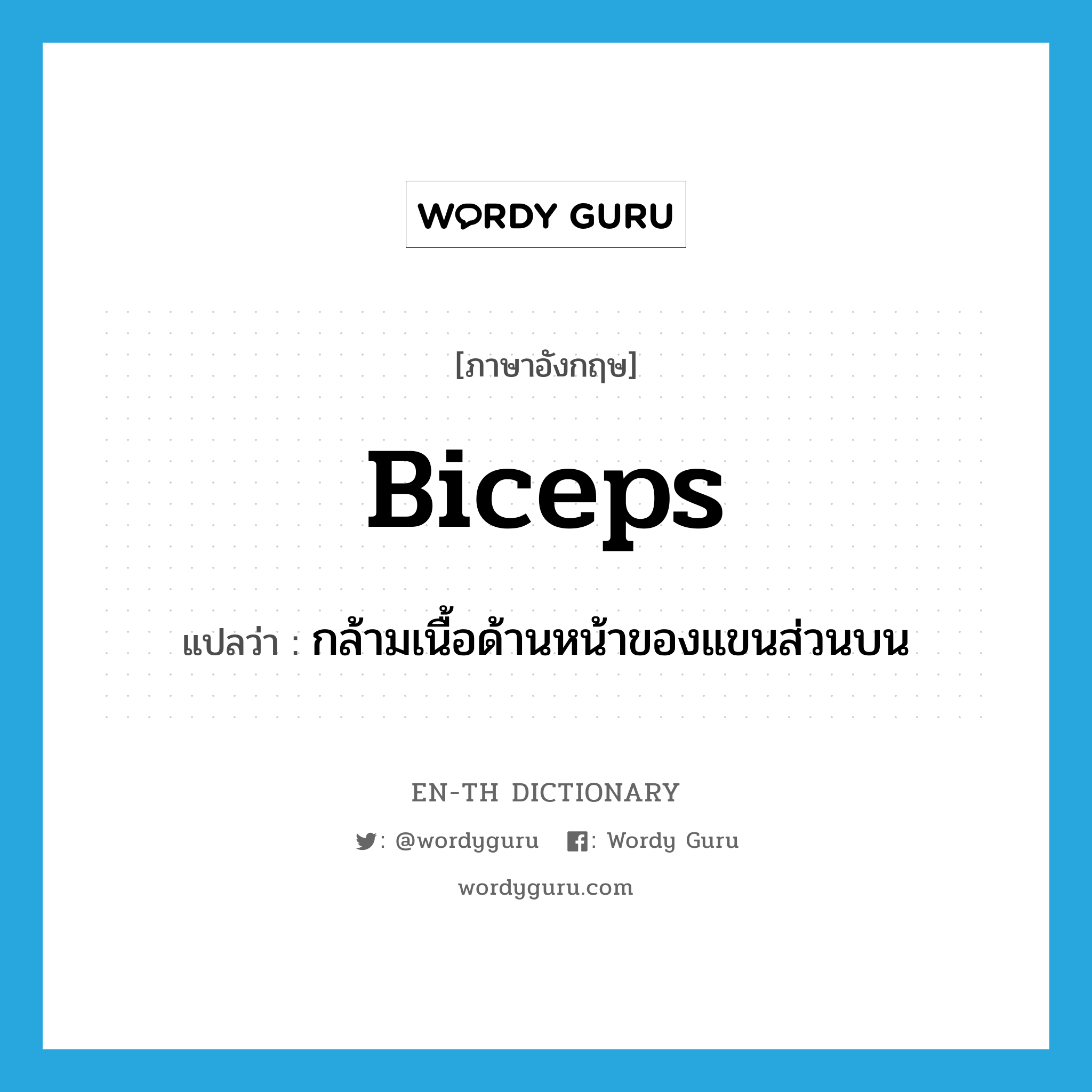 biceps แปลว่า?, คำศัพท์ภาษาอังกฤษ biceps แปลว่า กล้ามเนื้อด้านหน้าของแขนส่วนบน ประเภท N หมวด N