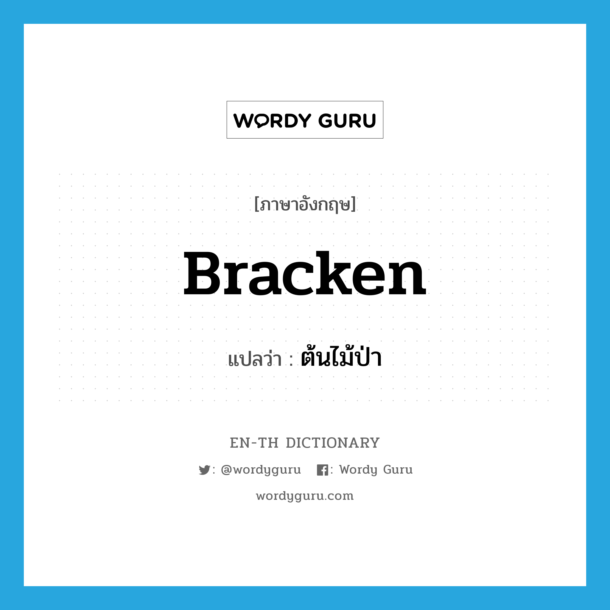 bracken แปลว่า?, คำศัพท์ภาษาอังกฤษ bracken แปลว่า ต้นไม้ป่า ประเภท N หมวด N