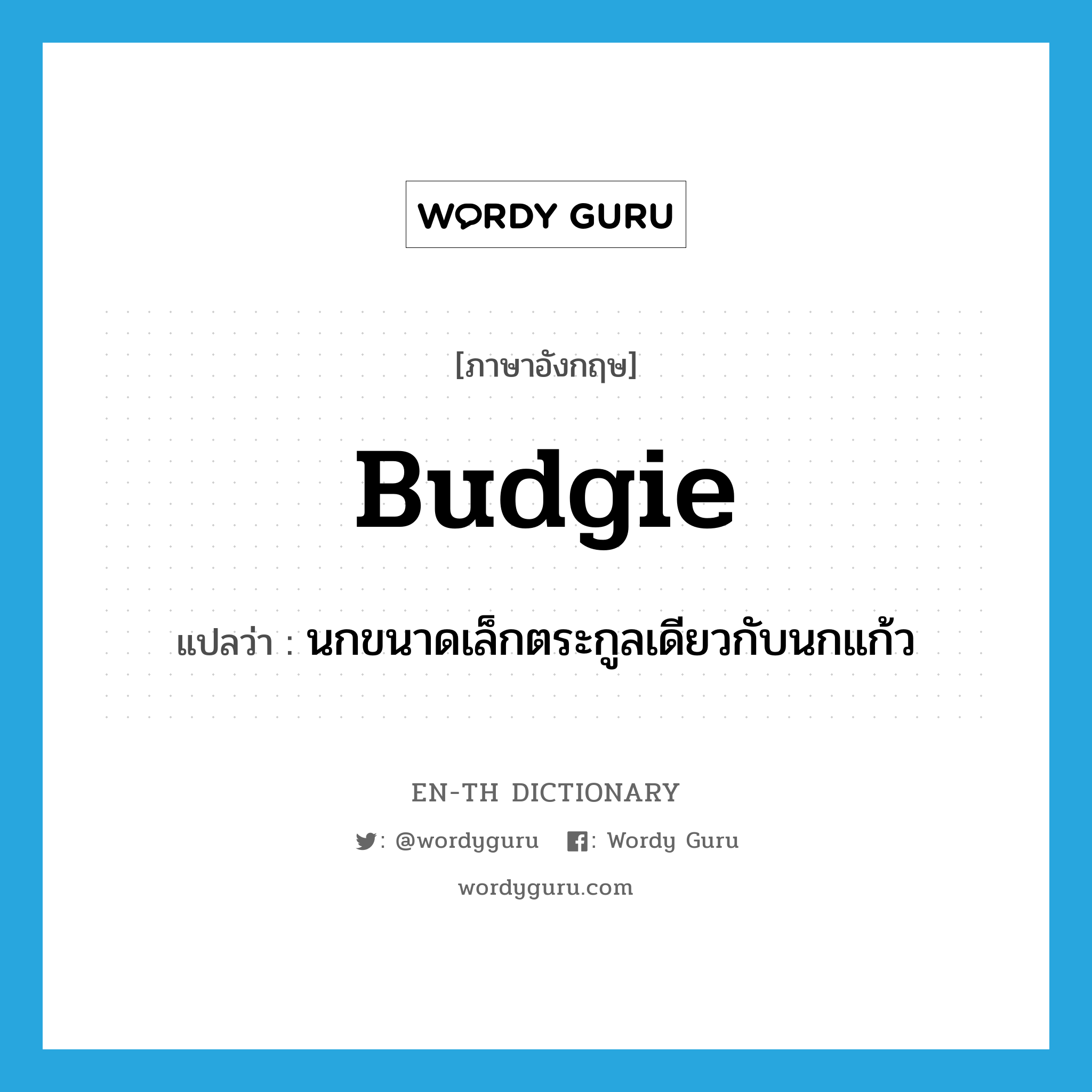 budgie แปลว่า?, คำศัพท์ภาษาอังกฤษ budgie แปลว่า นกขนาดเล็กตระกูลเดียวกับนกแก้ว ประเภท N หมวด N