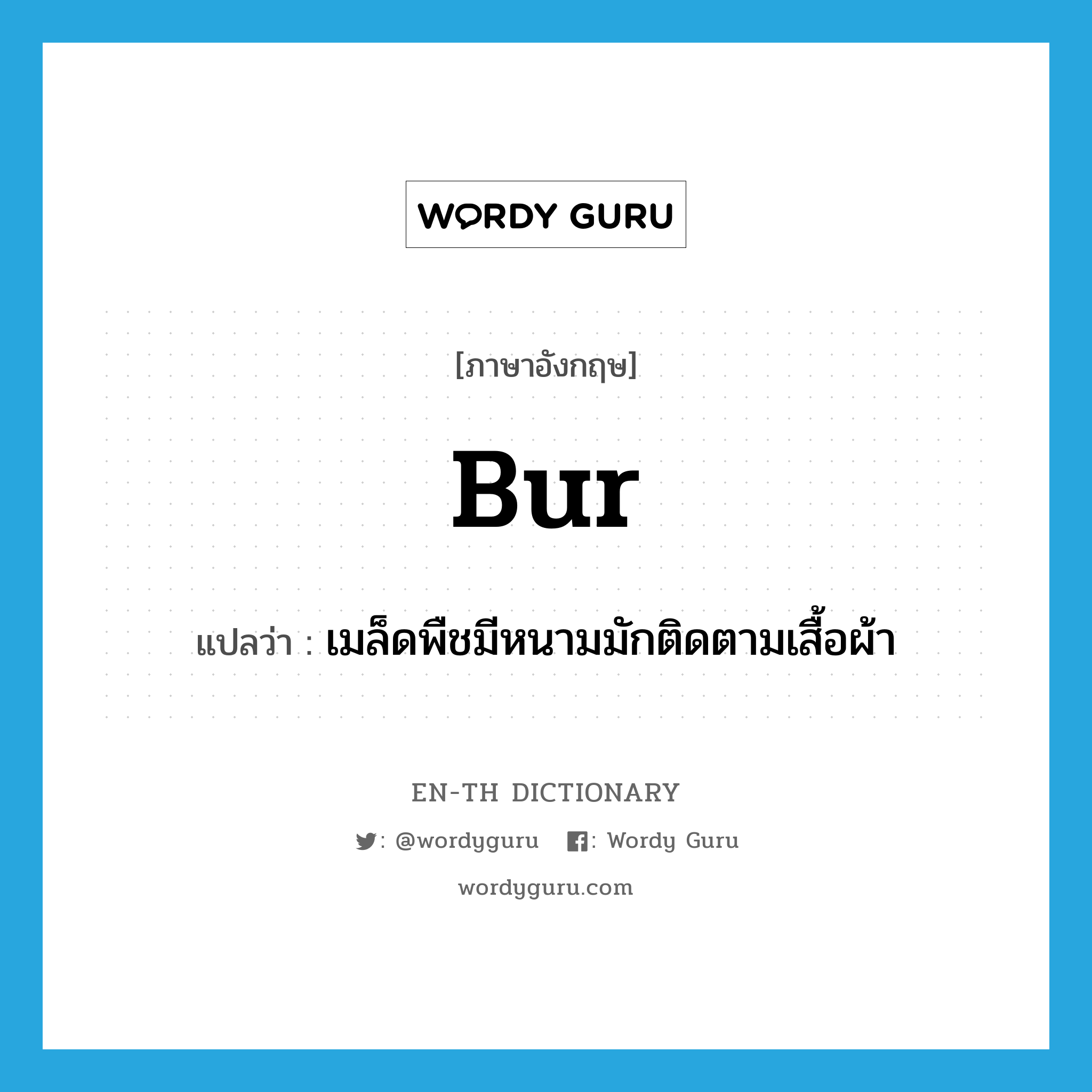 bur แปลว่า?, คำศัพท์ภาษาอังกฤษ bur แปลว่า เมล็ดพืชมีหนามมักติดตามเสื้อผ้า ประเภท N หมวด N