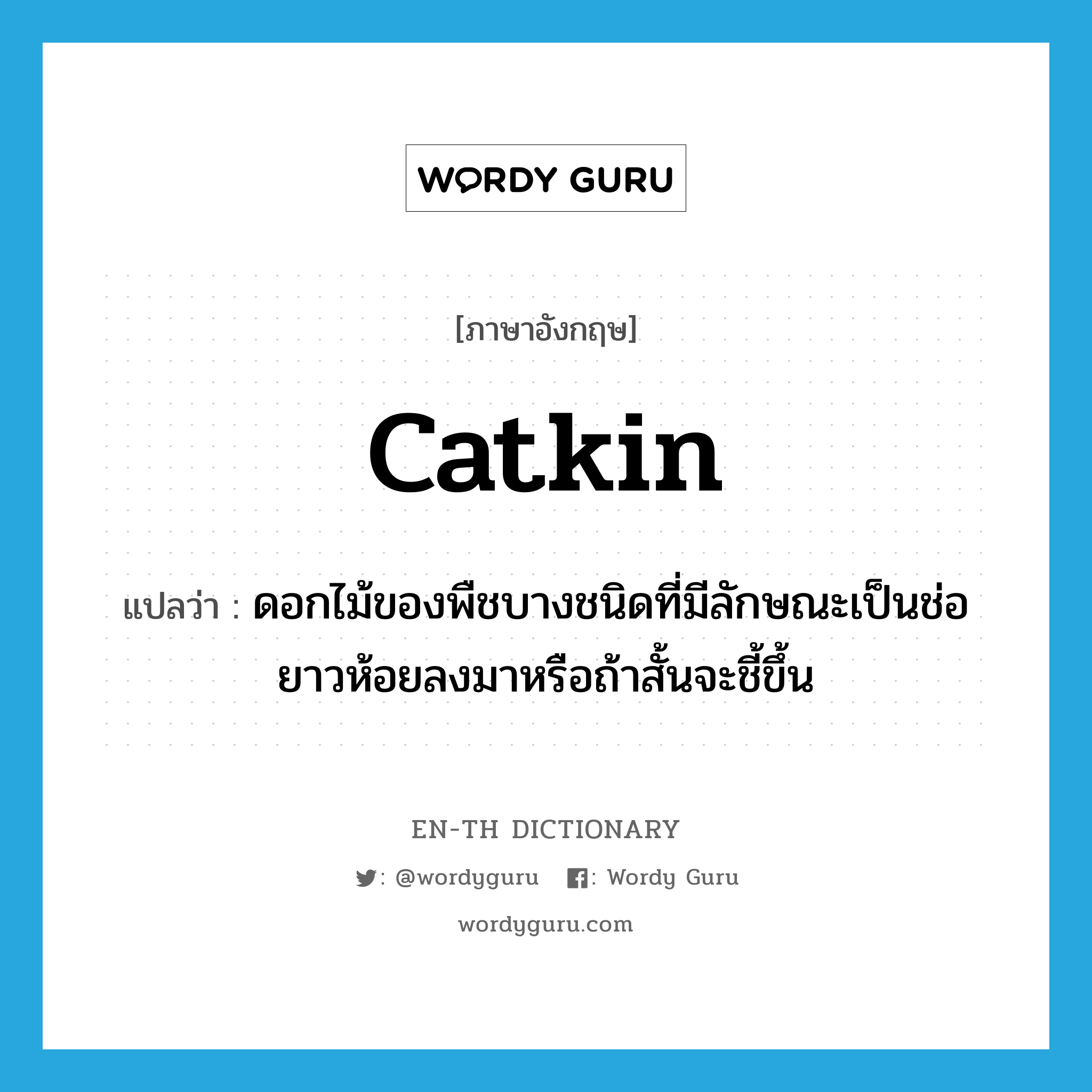 catkin แปลว่า?, คำศัพท์ภาษาอังกฤษ catkin แปลว่า ดอกไม้ของพืชบางชนิดที่มีลักษณะเป็นช่อยาวห้อยลงมาหรือถ้าสั้นจะชี้ขึ้น ประเภท N หมวด N