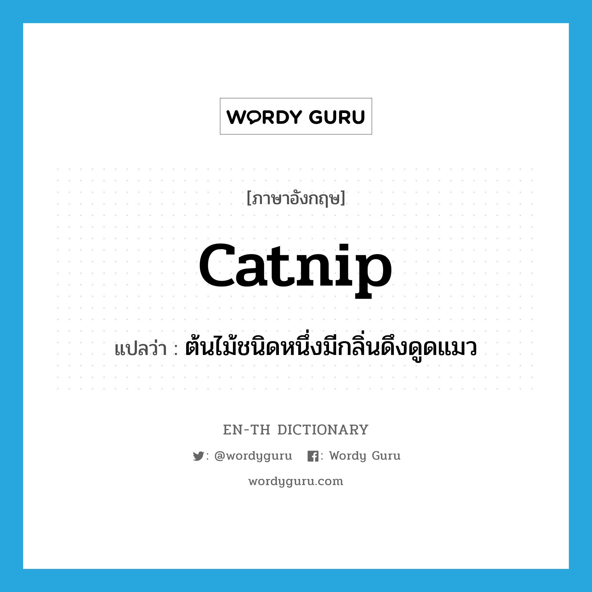 catnip แปลว่า?, คำศัพท์ภาษาอังกฤษ catnip แปลว่า ต้นไม้ชนิดหนึ่งมีกลิ่นดึงดูดแมว ประเภท N หมวด N