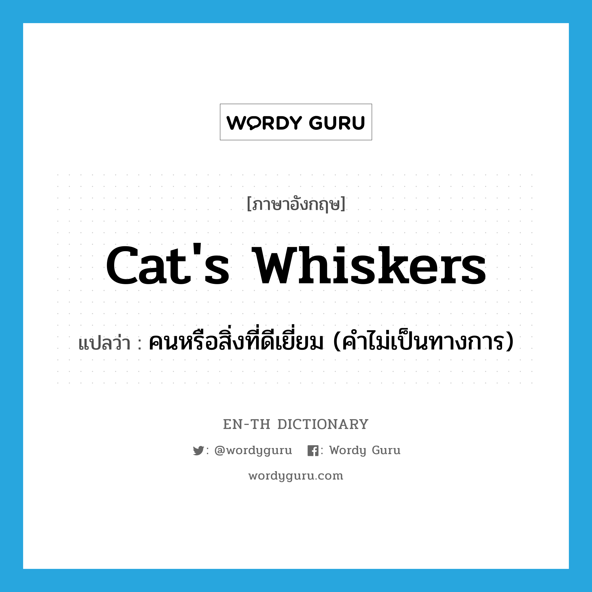 cat&#39;s whiskers แปลว่า?, คำศัพท์ภาษาอังกฤษ cat&#39;s whiskers แปลว่า คนหรือสิ่งที่ดีเยี่ยม (คำไม่เป็นทางการ) ประเภท N หมวด N