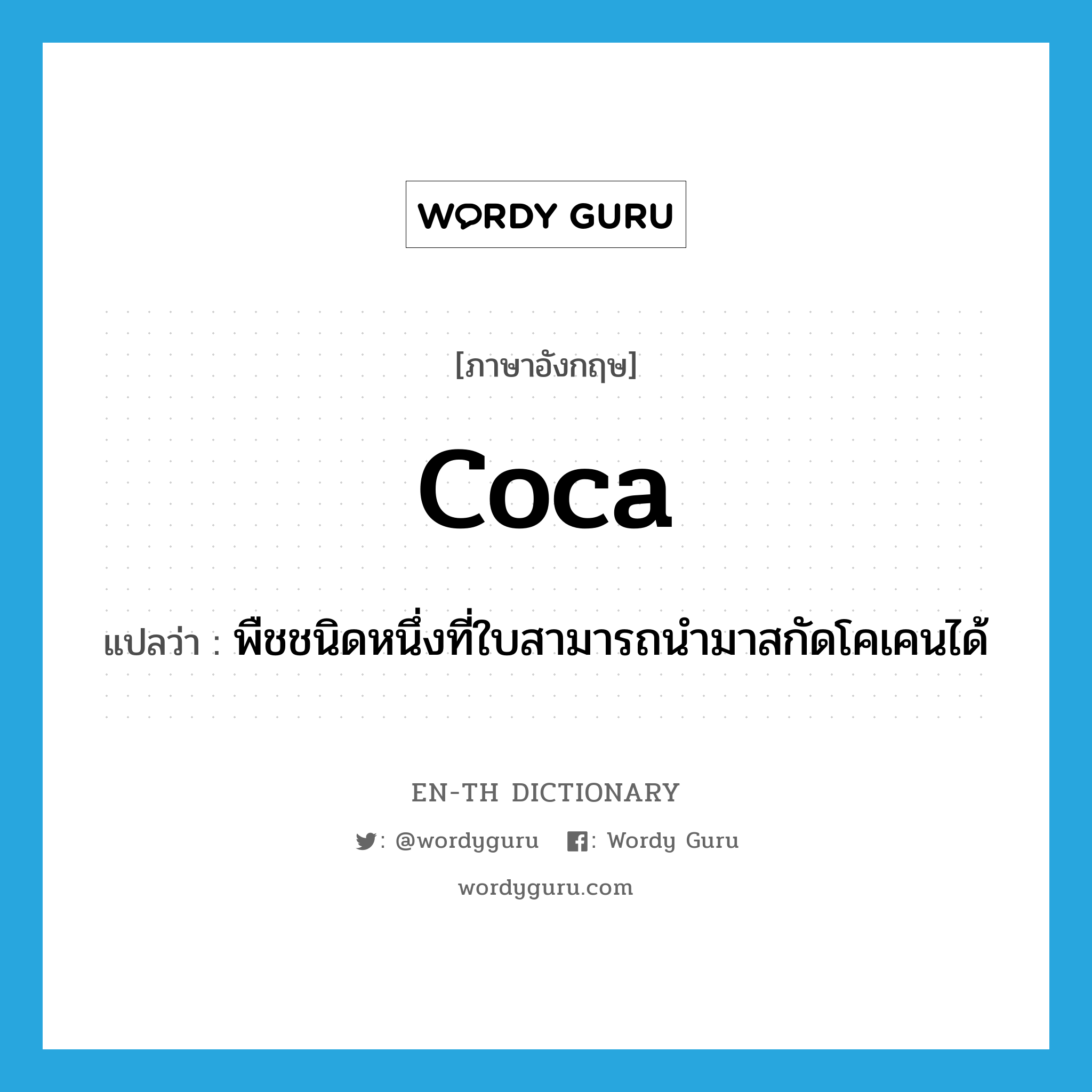 coca แปลว่า?, คำศัพท์ภาษาอังกฤษ coca แปลว่า พืชชนิดหนึ่งที่ใบสามารถนำมาสกัดโคเคนได้ ประเภท N หมวด N