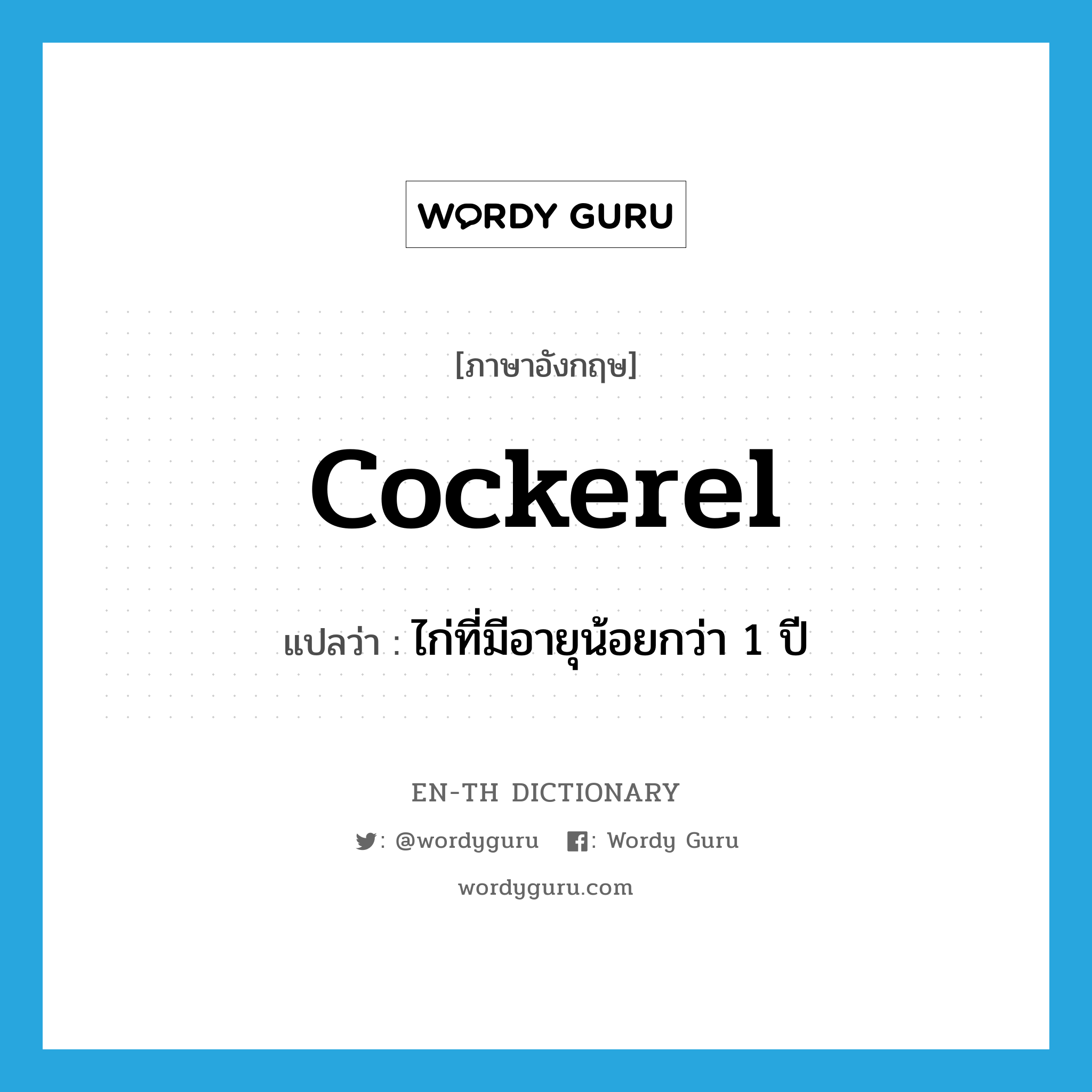 cockerel แปลว่า?, คำศัพท์ภาษาอังกฤษ cockerel แปลว่า ไก่ที่มีอายุน้อยกว่า 1 ปี ประเภท N หมวด N