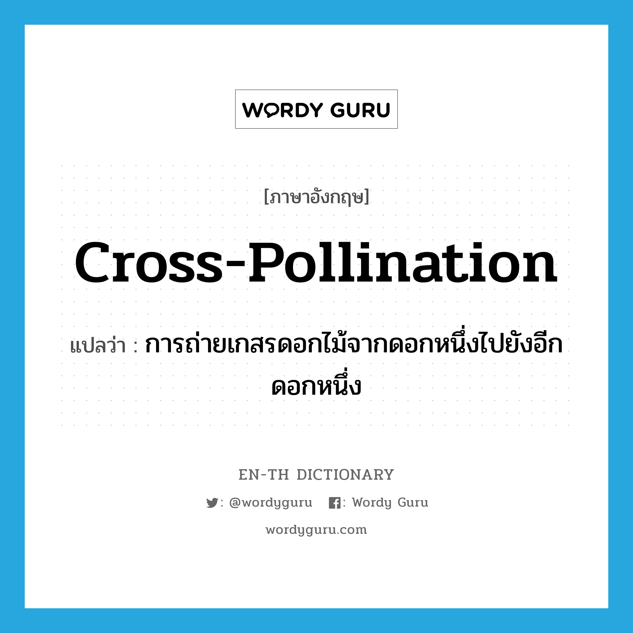 cross-pollination แปลว่า?, คำศัพท์ภาษาอังกฤษ cross-pollination แปลว่า การถ่ายเกสรดอกไม้จากดอกหนึ่งไปยังอีกดอกหนึ่ง ประเภท N หมวด N