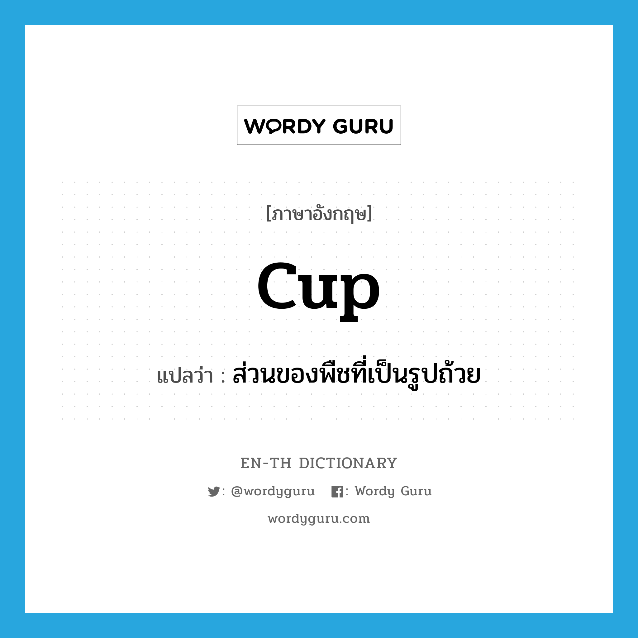 cup แปลว่า?, คำศัพท์ภาษาอังกฤษ cup แปลว่า ส่วนของพืชที่เป็นรูปถ้วย ประเภท N หมวด N