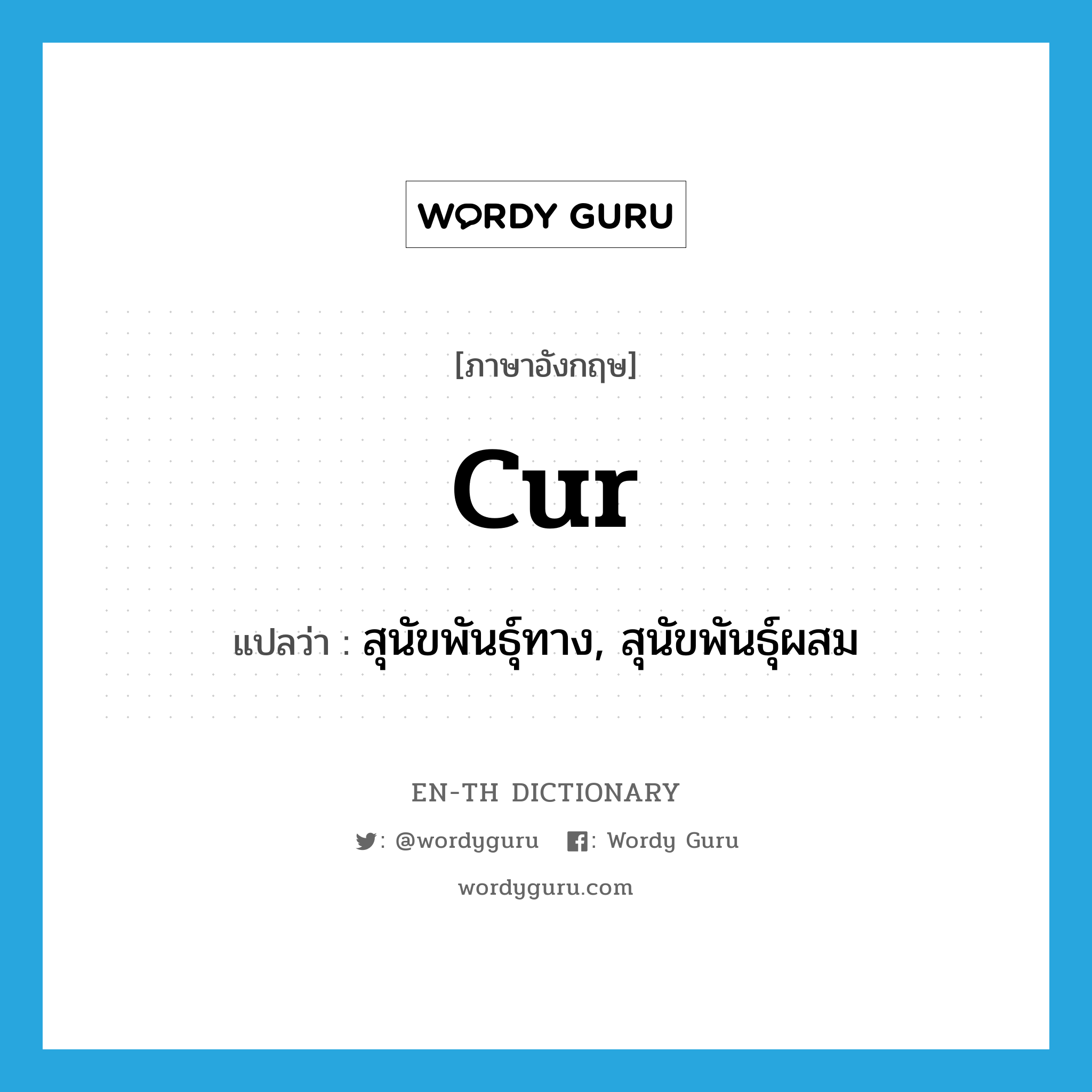 cur แปลว่า?, คำศัพท์ภาษาอังกฤษ cur แปลว่า สุนัขพันธุ์ทาง, สุนัขพันธุ์ผสม ประเภท N หมวด N