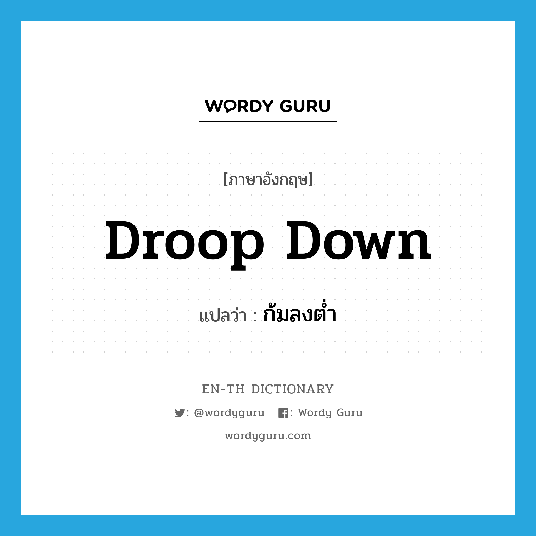 droop down แปลว่า?, คำศัพท์ภาษาอังกฤษ droop down แปลว่า ก้มลงต่ำ ประเภท PHRV หมวด PHRV