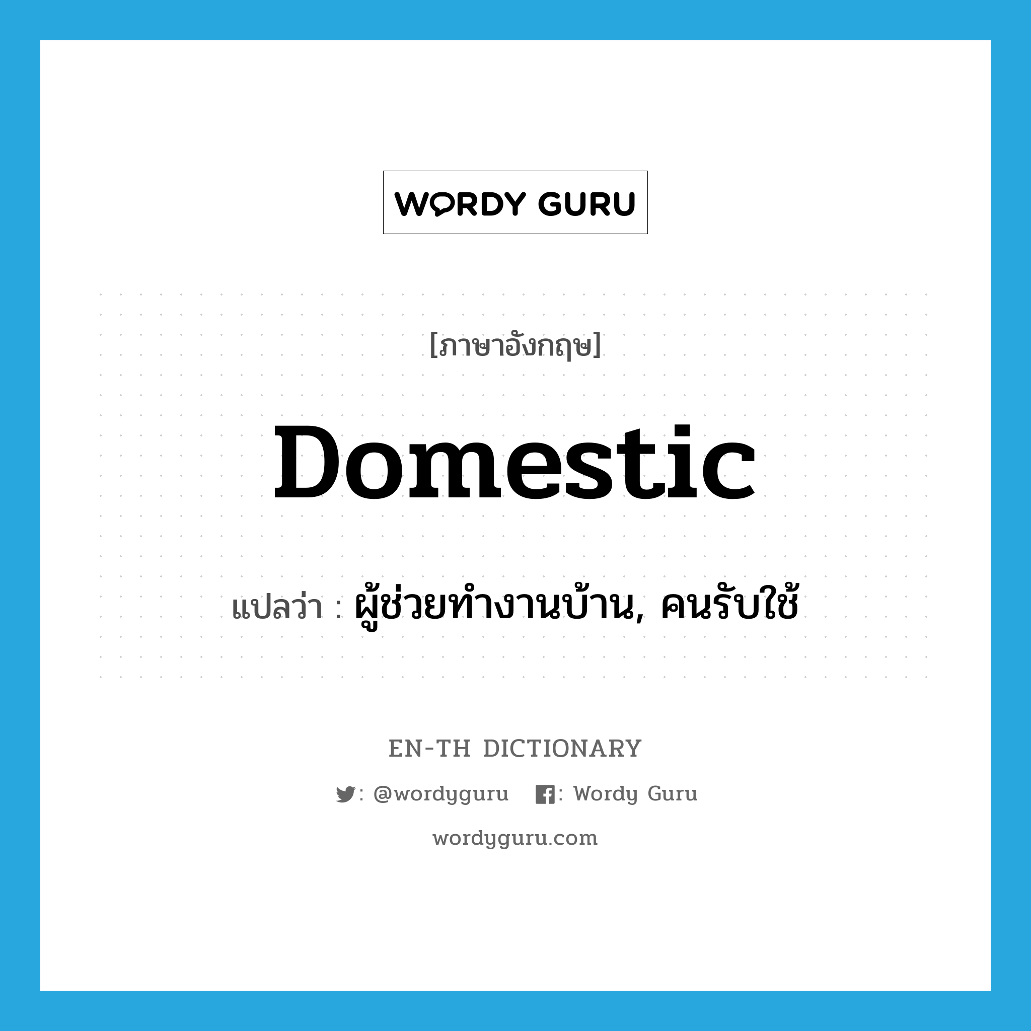 domestic แปลว่า?, คำศัพท์ภาษาอังกฤษ domestic แปลว่า ผู้ช่วยทำงานบ้าน, คนรับใช้ ประเภท N หมวด N