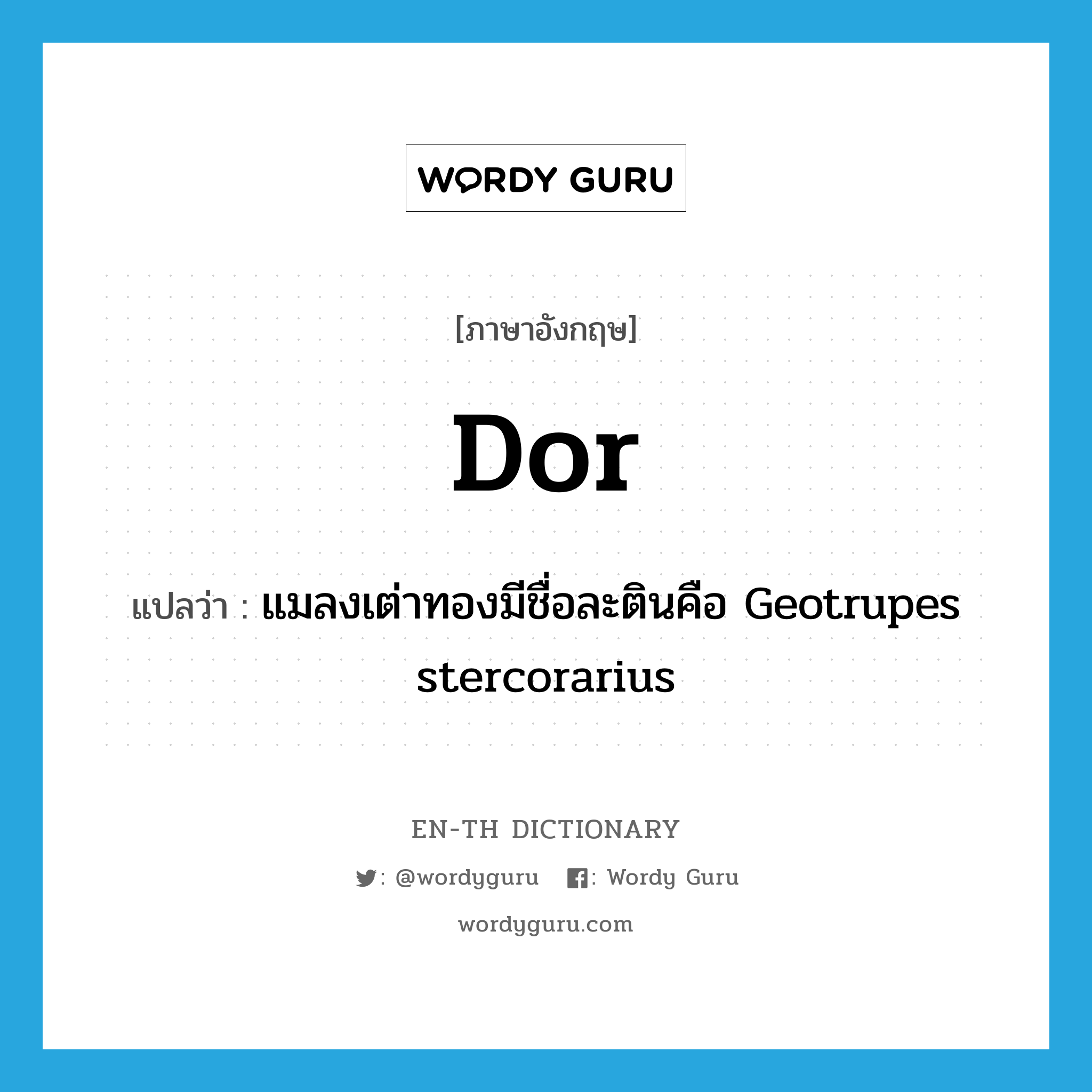 dor แปลว่า?, คำศัพท์ภาษาอังกฤษ dor แปลว่า แมลงเต่าทองมีชื่อละตินคือ Geotrupes stercorarius ประเภท N หมวด N