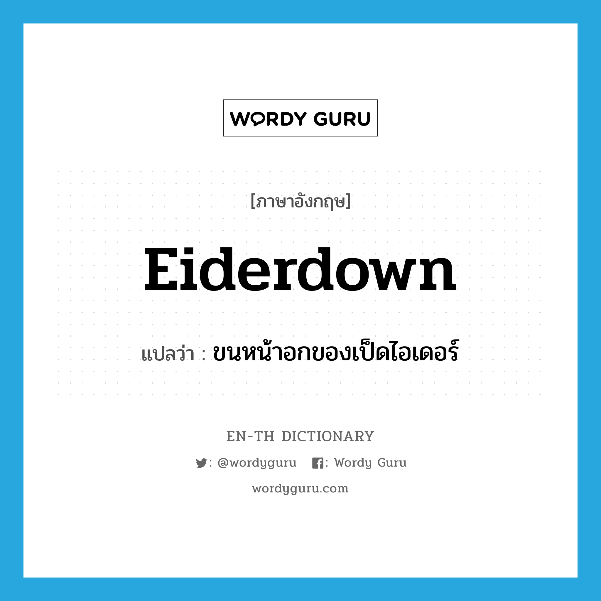 eiderdown แปลว่า?, คำศัพท์ภาษาอังกฤษ eiderdown แปลว่า ขนหน้าอกของเป็ดไอเดอร์ ประเภท N หมวด N