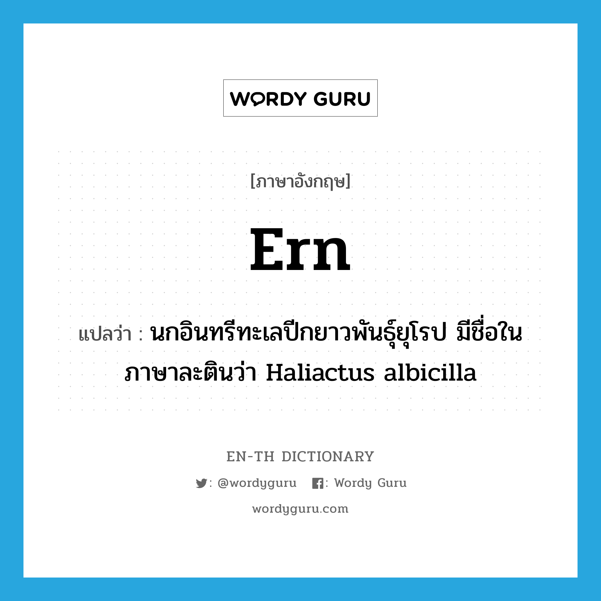 ern แปลว่า?, คำศัพท์ภาษาอังกฤษ ern แปลว่า นกอินทรีทะเลปีกยาวพันธุ์ยุโรป มีชื่อในภาษาละตินว่า Haliactus albicilla ประเภท N หมวด N