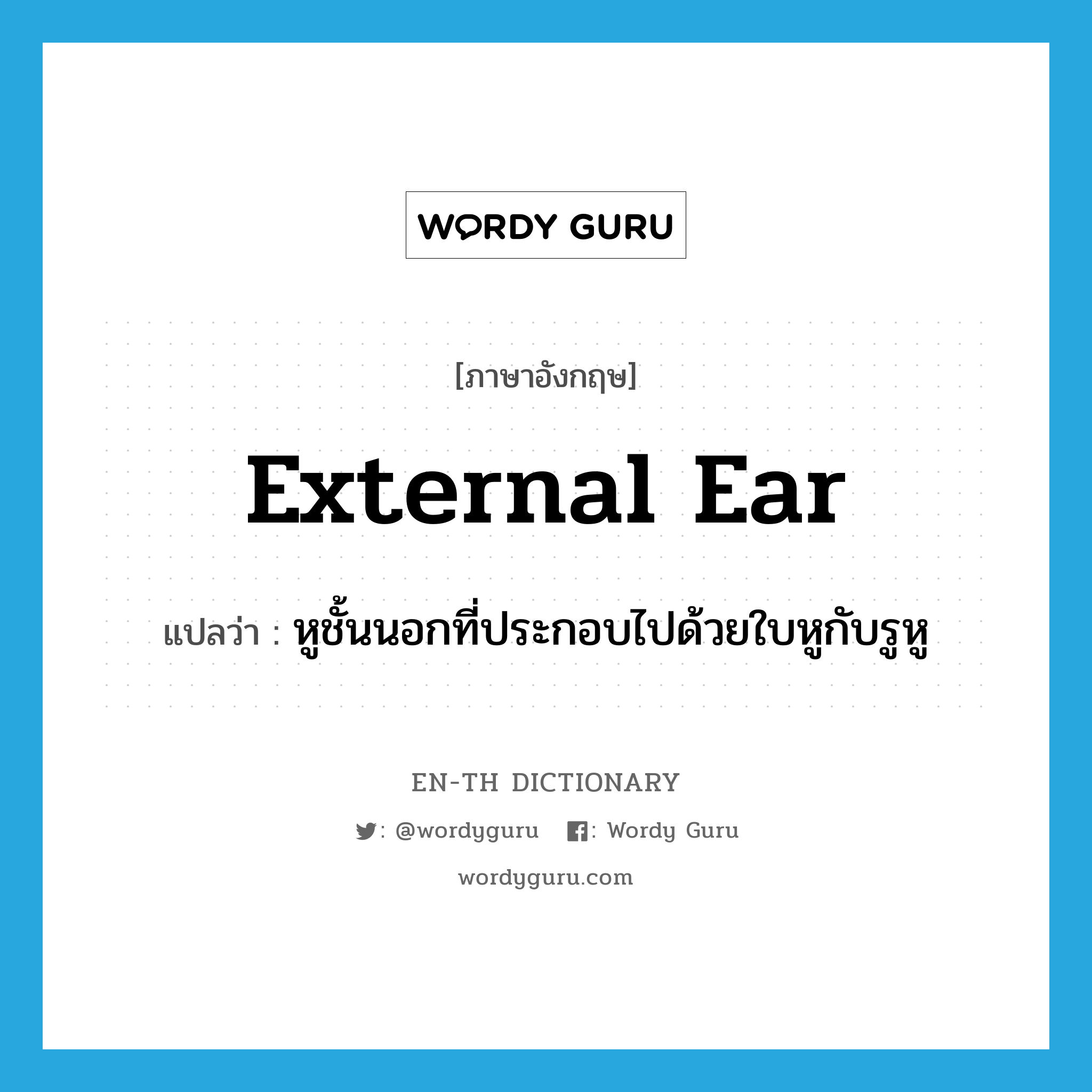 external ear แปลว่า?, คำศัพท์ภาษาอังกฤษ external ear แปลว่า หูชั้นนอกที่ประกอบไปด้วยใบหูกับรูหู ประเภท N หมวด N