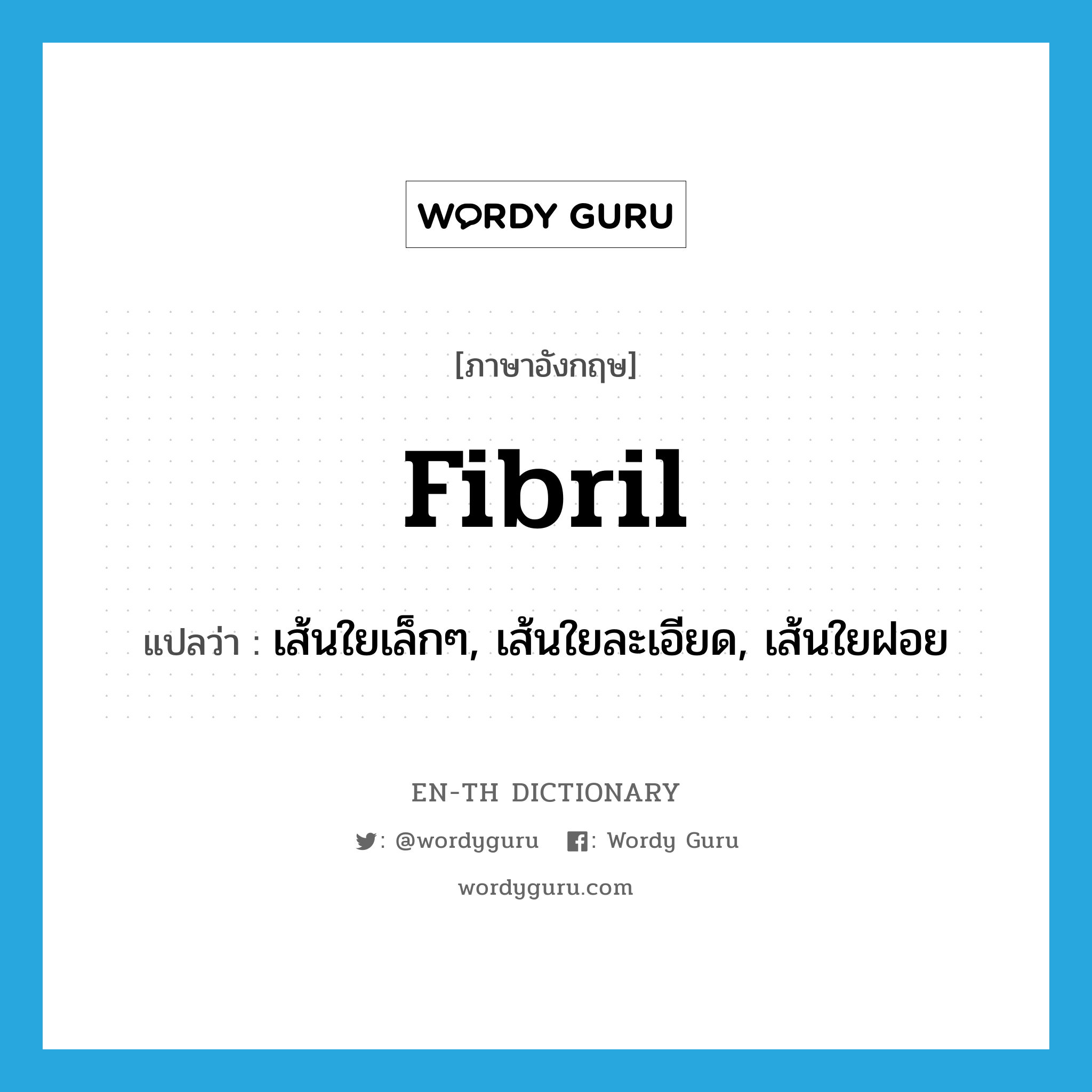 fibril แปลว่า?, คำศัพท์ภาษาอังกฤษ fibril แปลว่า เส้นใยเล็กๆ, เส้นใยละเอียด, เส้นใยฝอย ประเภท N หมวด N