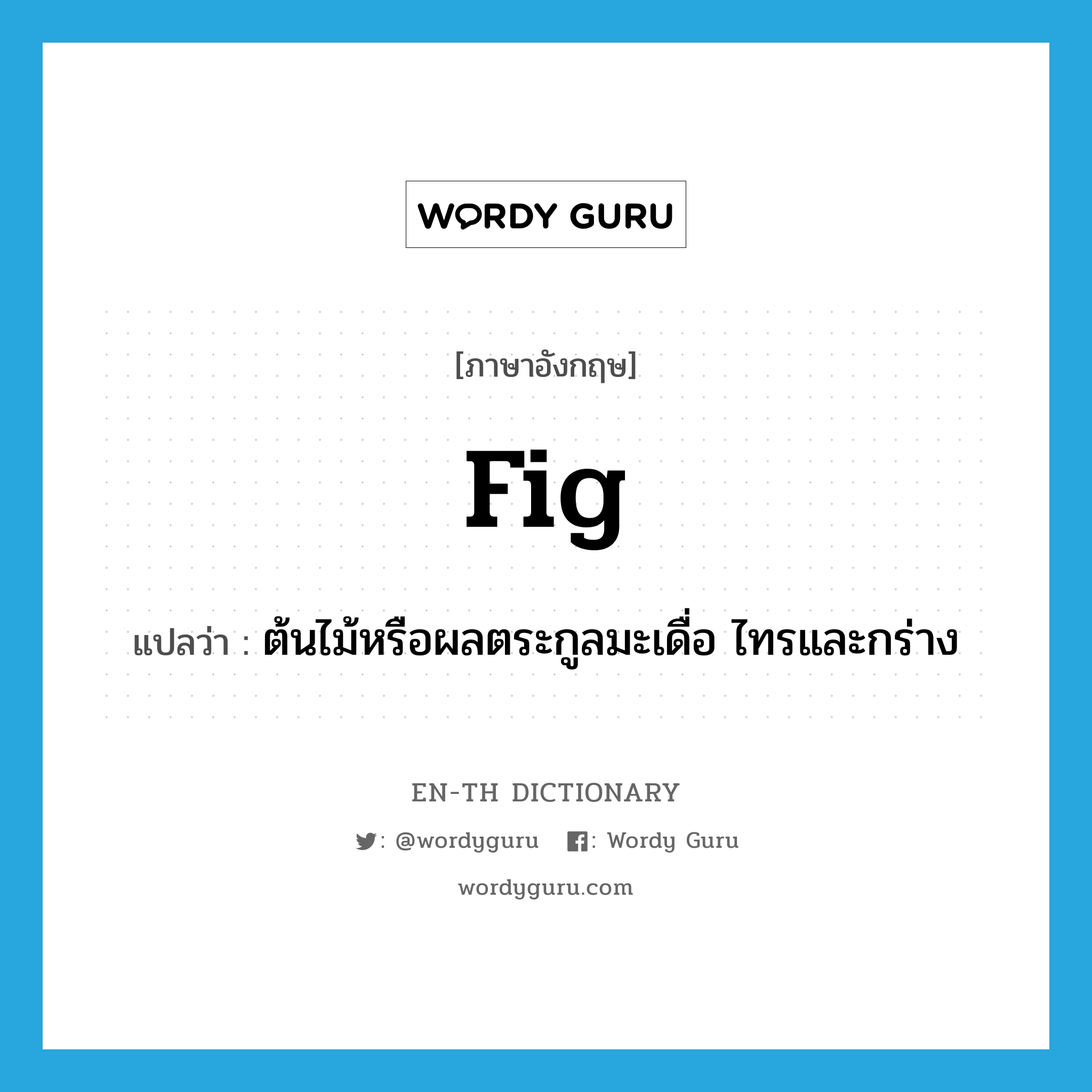 fig. แปลว่า?, คำศัพท์ภาษาอังกฤษ fig แปลว่า ต้นไม้หรือผลตระกูลมะเดื่อ ไทรและกร่าง ประเภท N หมวด N