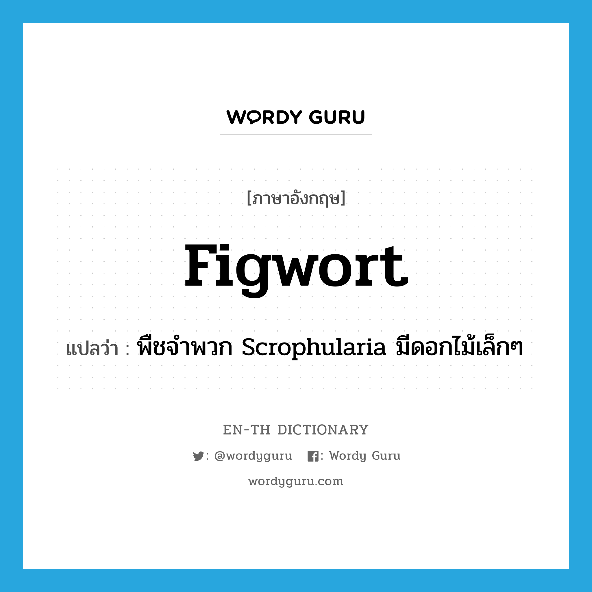 figwort แปลว่า?, คำศัพท์ภาษาอังกฤษ figwort แปลว่า พืชจำพวก Scrophularia มีดอกไม้เล็กๆ ประเภท N หมวด N