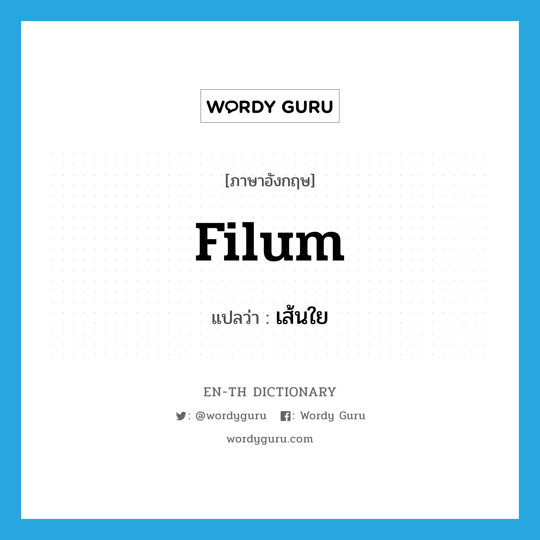 filum แปลว่า?, คำศัพท์ภาษาอังกฤษ filum แปลว่า เส้นใย ประเภท N หมวด N