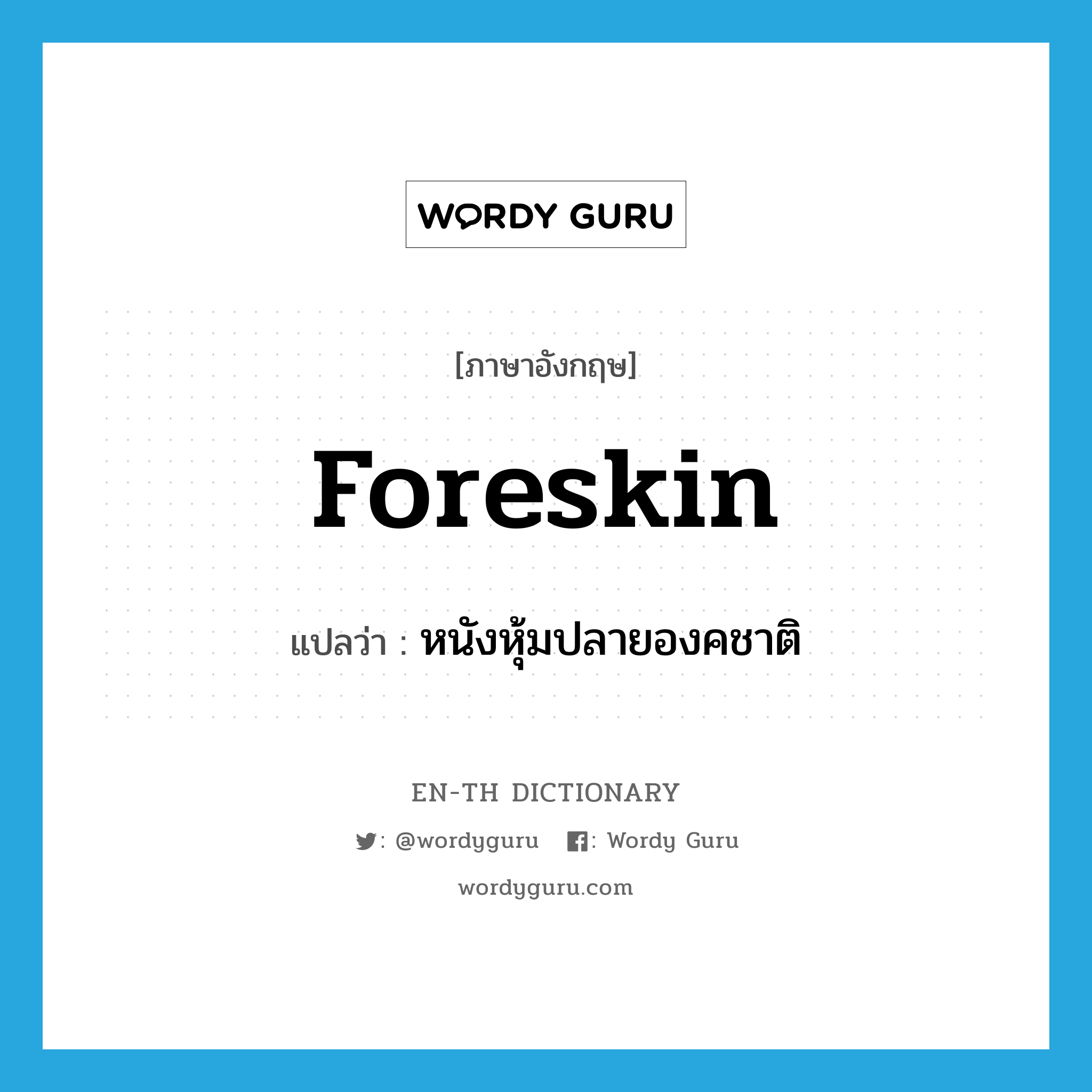 foreskin แปลว่า?, คำศัพท์ภาษาอังกฤษ foreskin แปลว่า หนังหุ้มปลายองคชาติ ประเภท N หมวด N