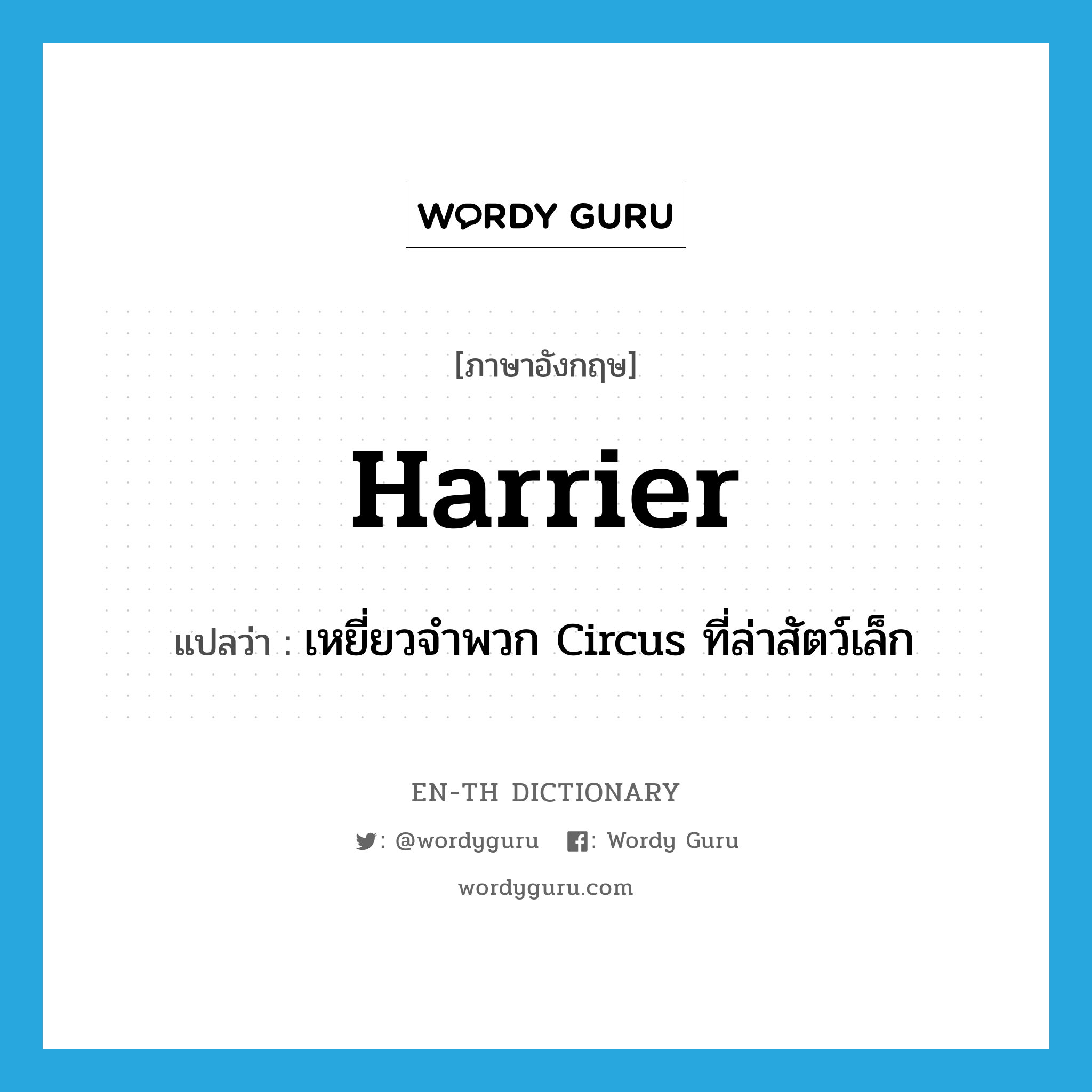 harrier แปลว่า?, คำศัพท์ภาษาอังกฤษ harrier แปลว่า เหยี่ยวจำพวก Circus ที่ล่าสัตว์เล็ก ประเภท N หมวด N